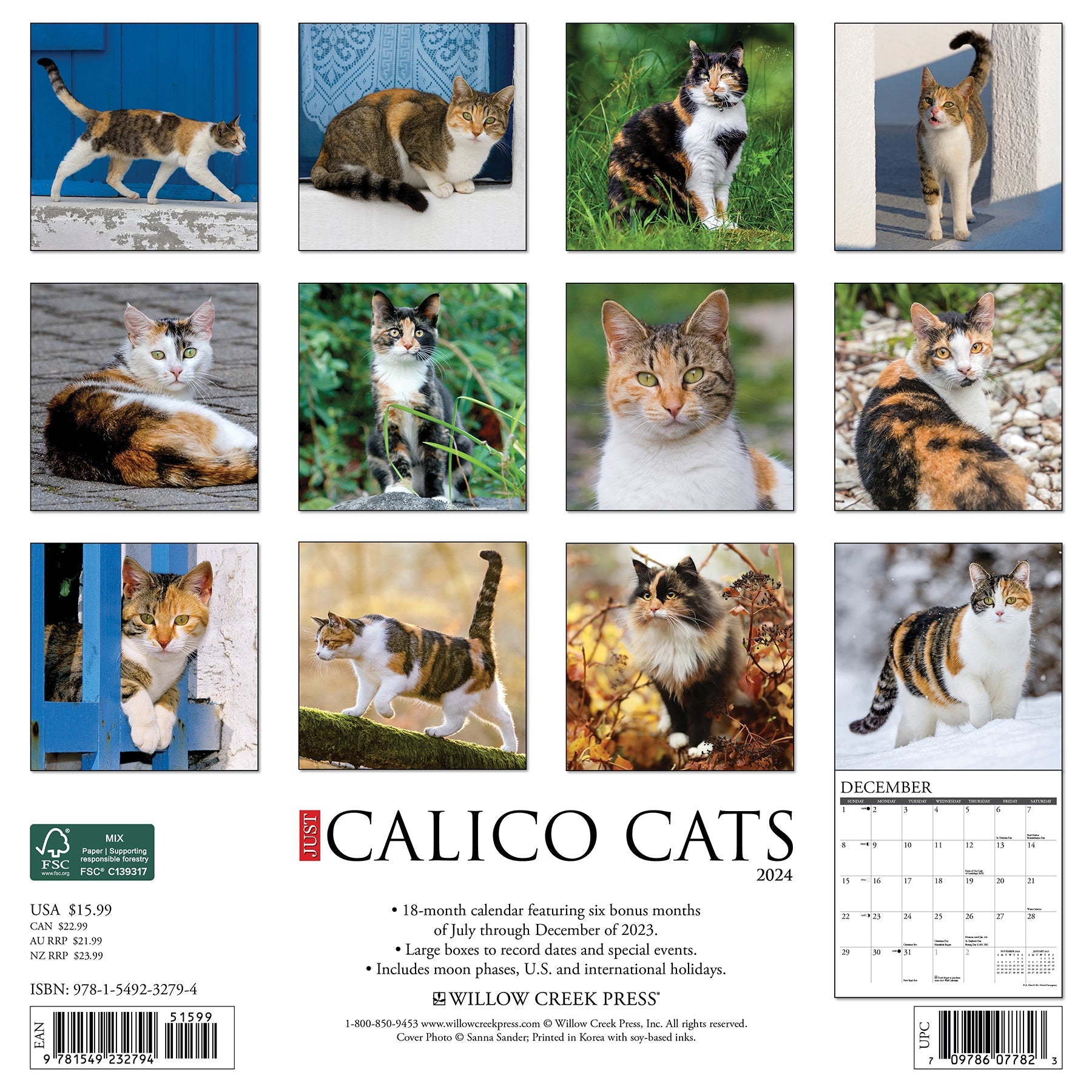 2024 Just Calico Cats - Square Wall Calendar - Cats & Kittens