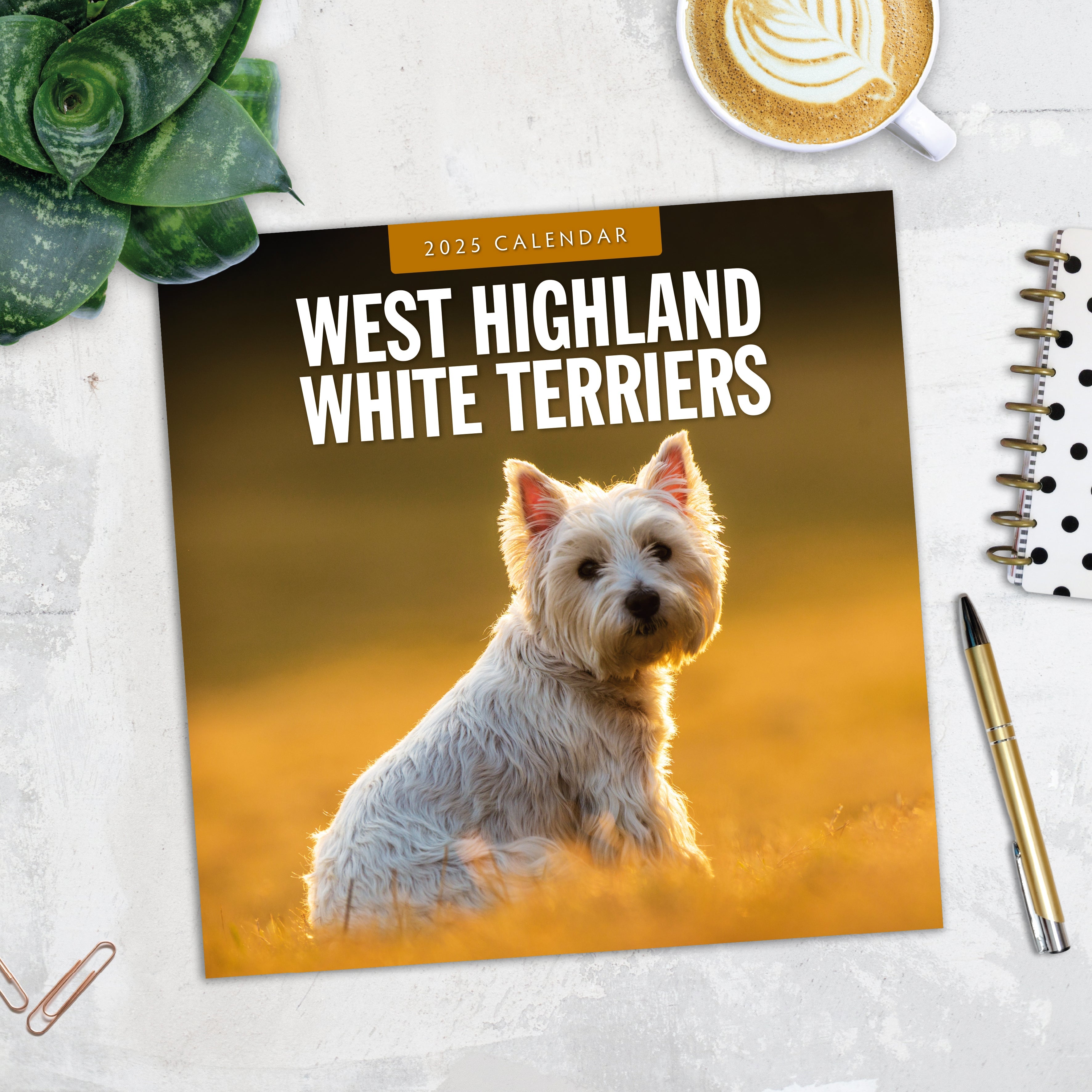 2025 West Highland White Terriers (Westies) - Square Wall Calendar
