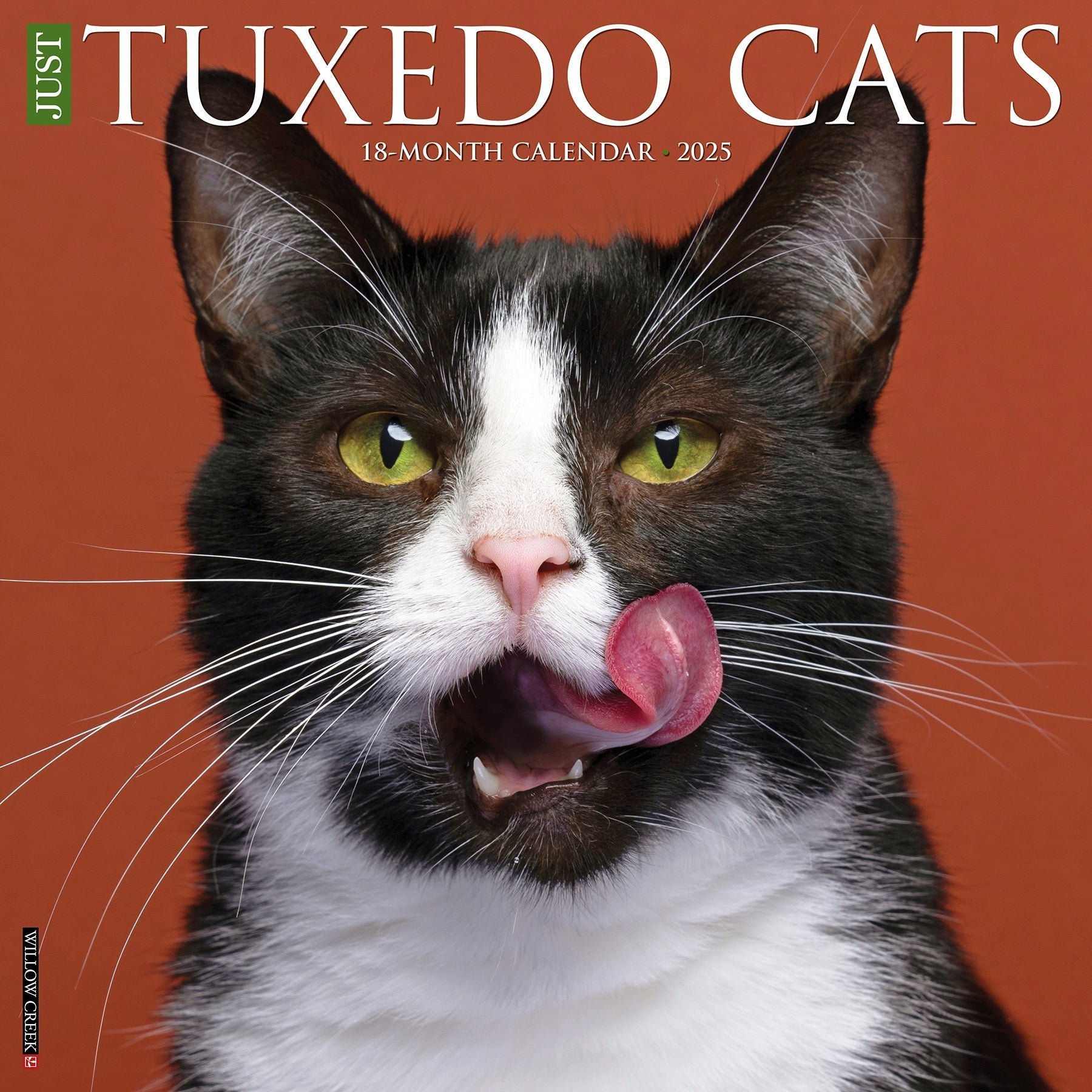 2025 Tuxedo Cats - Square Wall Calendar