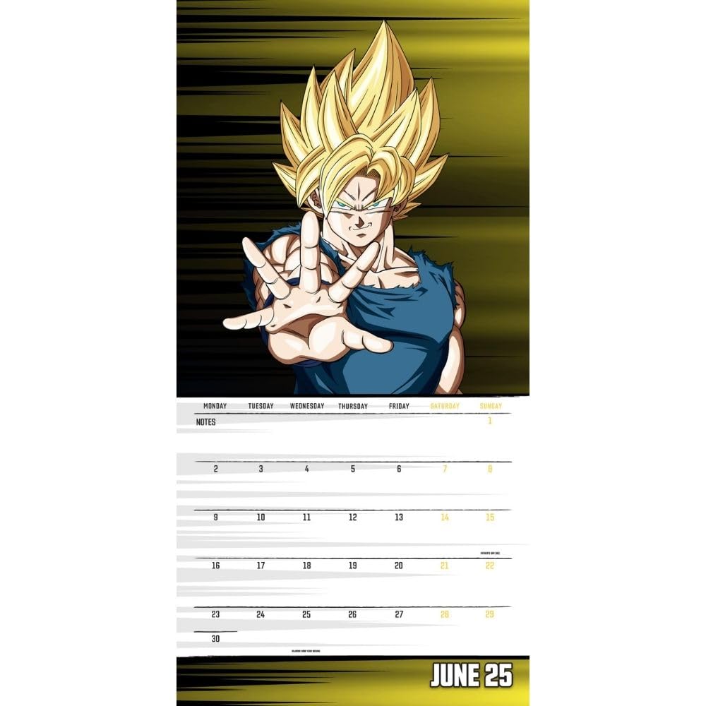 2025 Dragonball Z - Square Wall Calendar