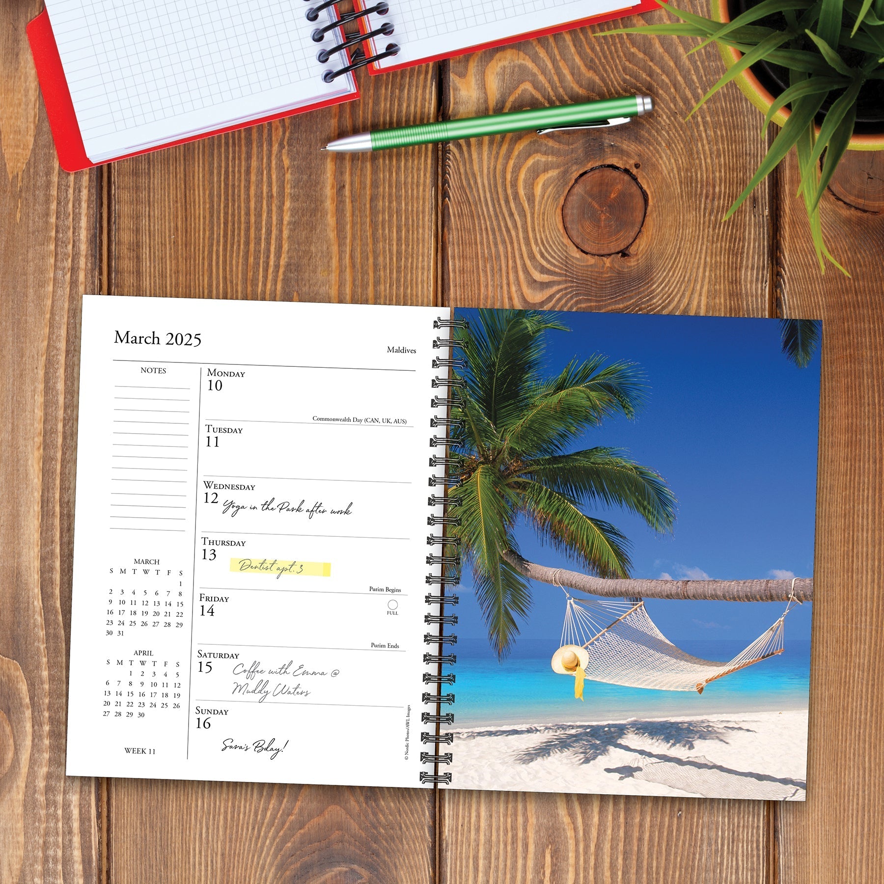 2025 Ah, The Beach! - Weekly Diary/Planner
