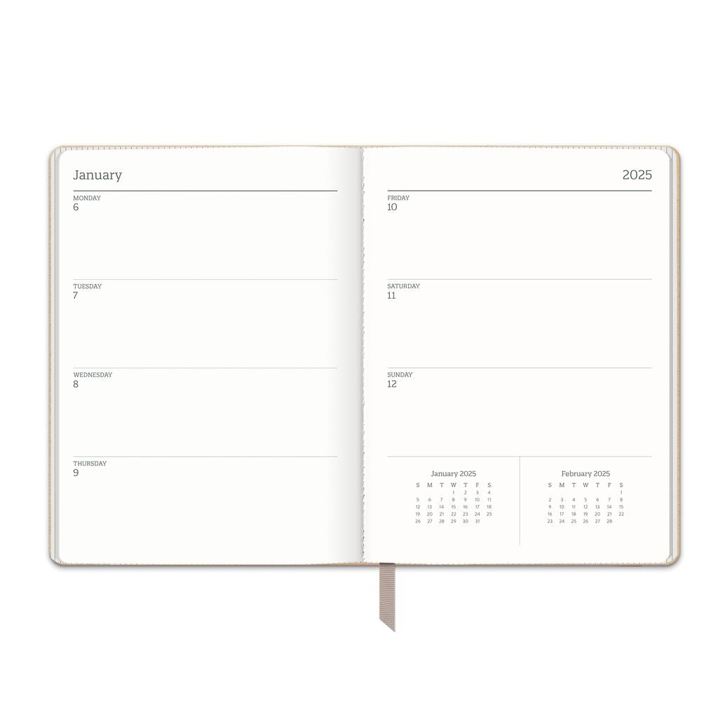 2025 Dots on Dove Gray - Large Dual-Textured Weekly & Monthly Diary/Planner