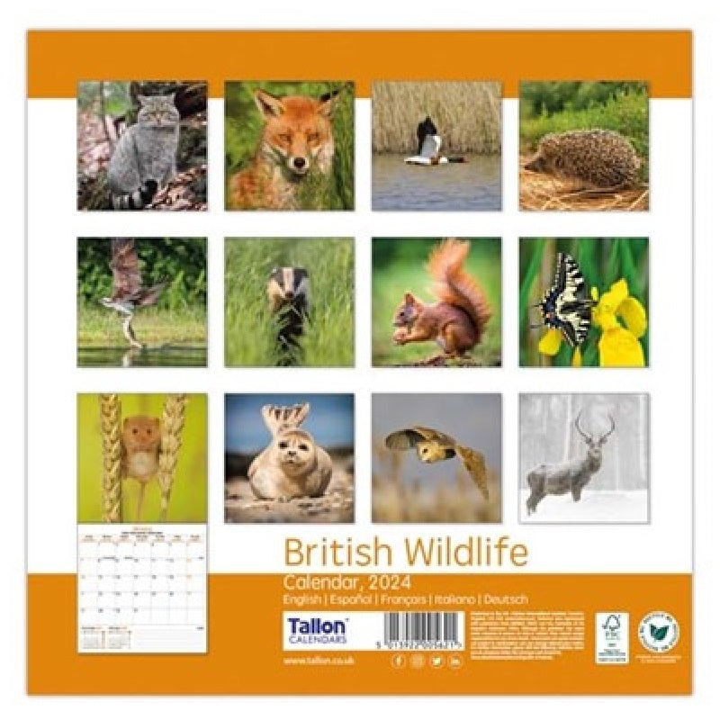 2024 British Wildlife - Square Wall Calendar