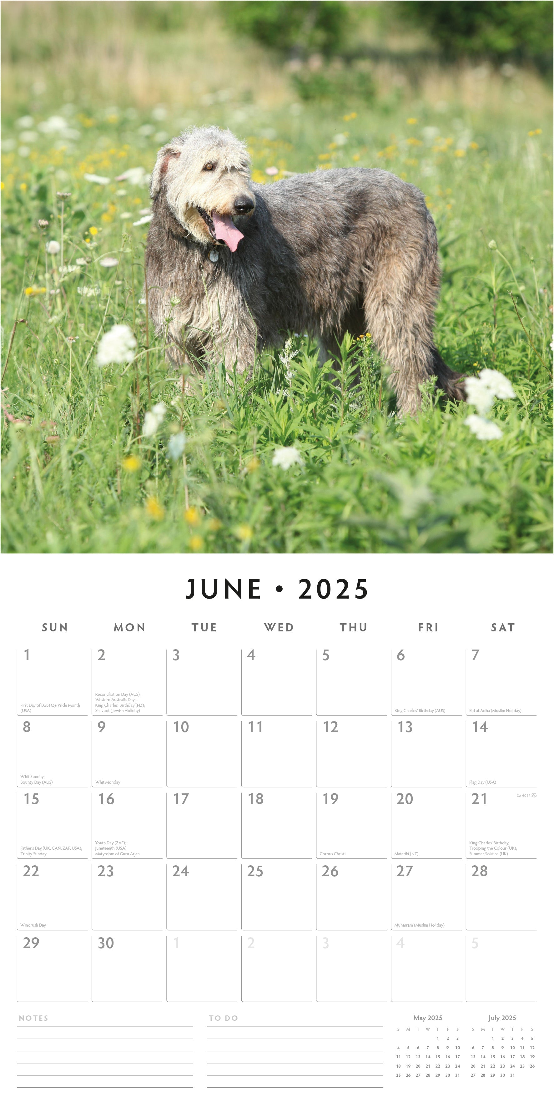 2025 Irish Wolf Hounds - Square Wall Calendar