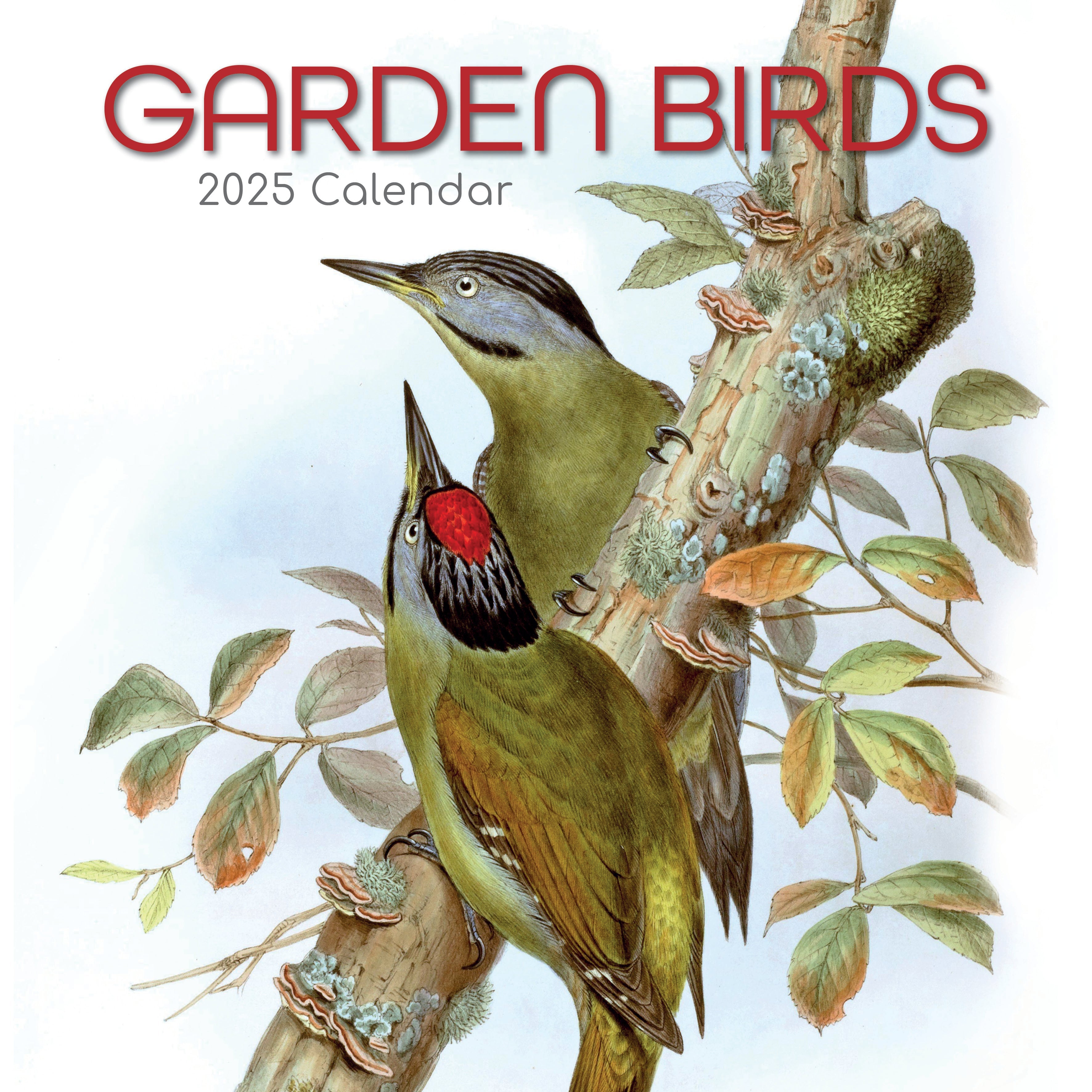 2025 Garden Birds - Square Wall Calendar