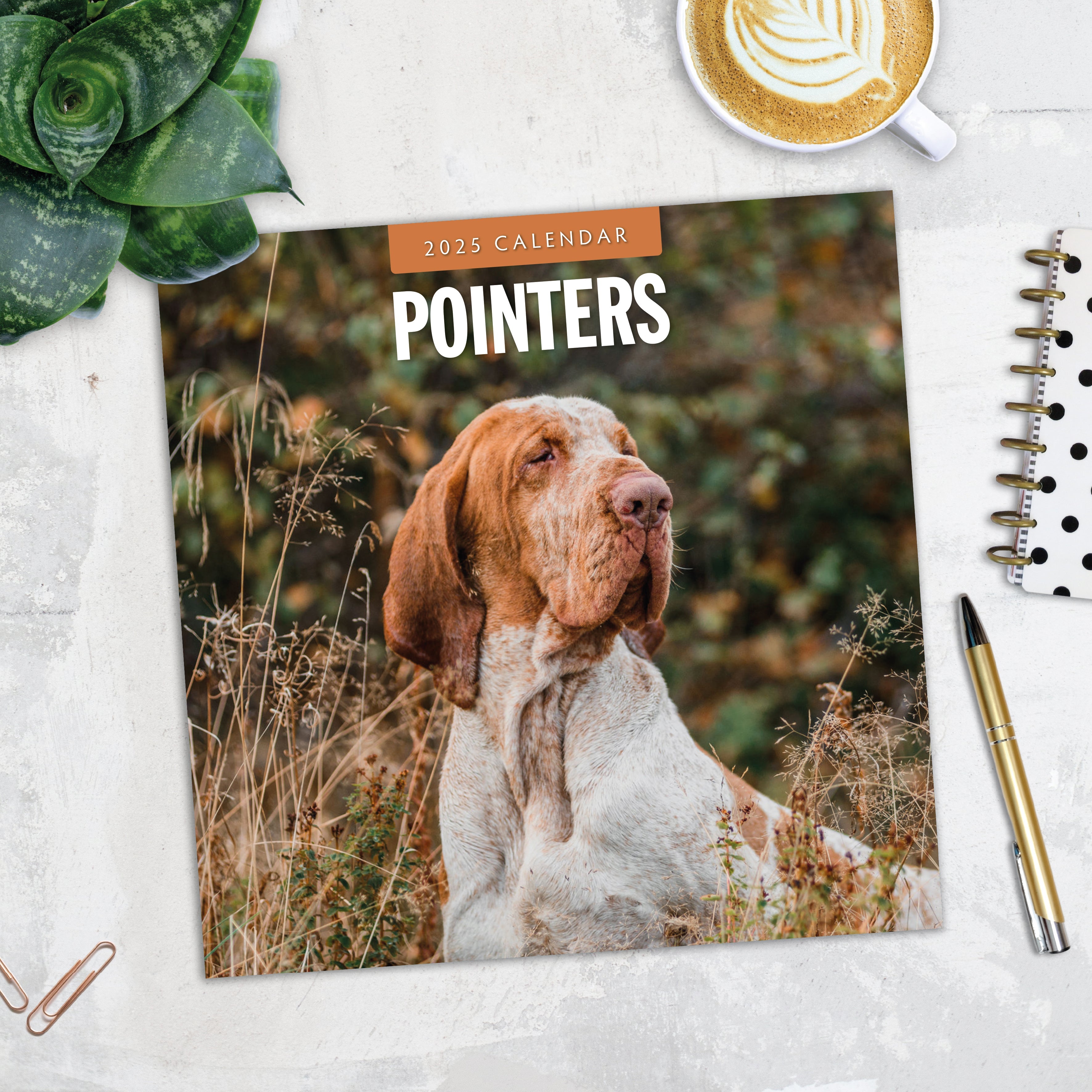2025 Pointers - Square Wall Calendar