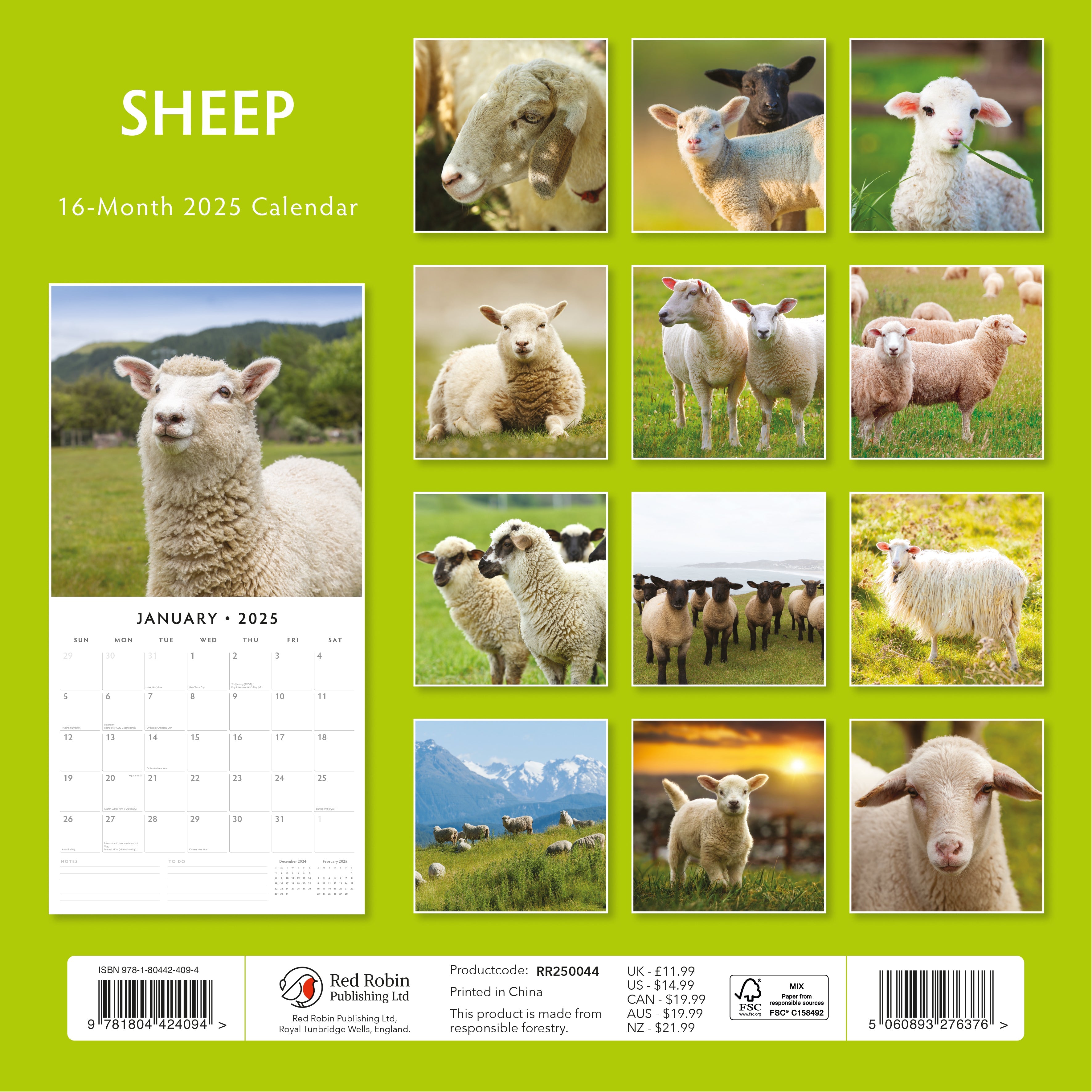 2025 Sheep - Square Wall Calendar