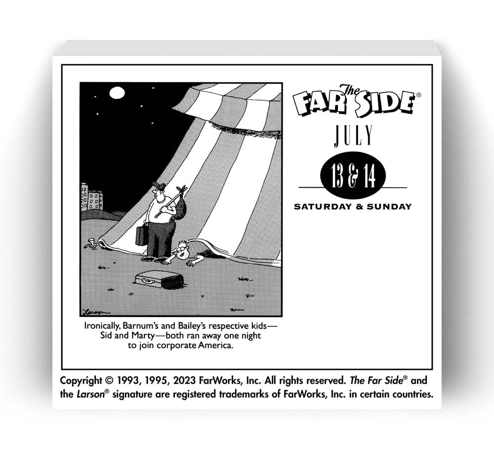 2024 Far Side Daily Boxed PageADay Calendar