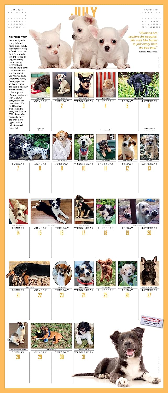 2024 365 Puppies-A-Year - Deluxe Wall Calendar  SOLD OUT