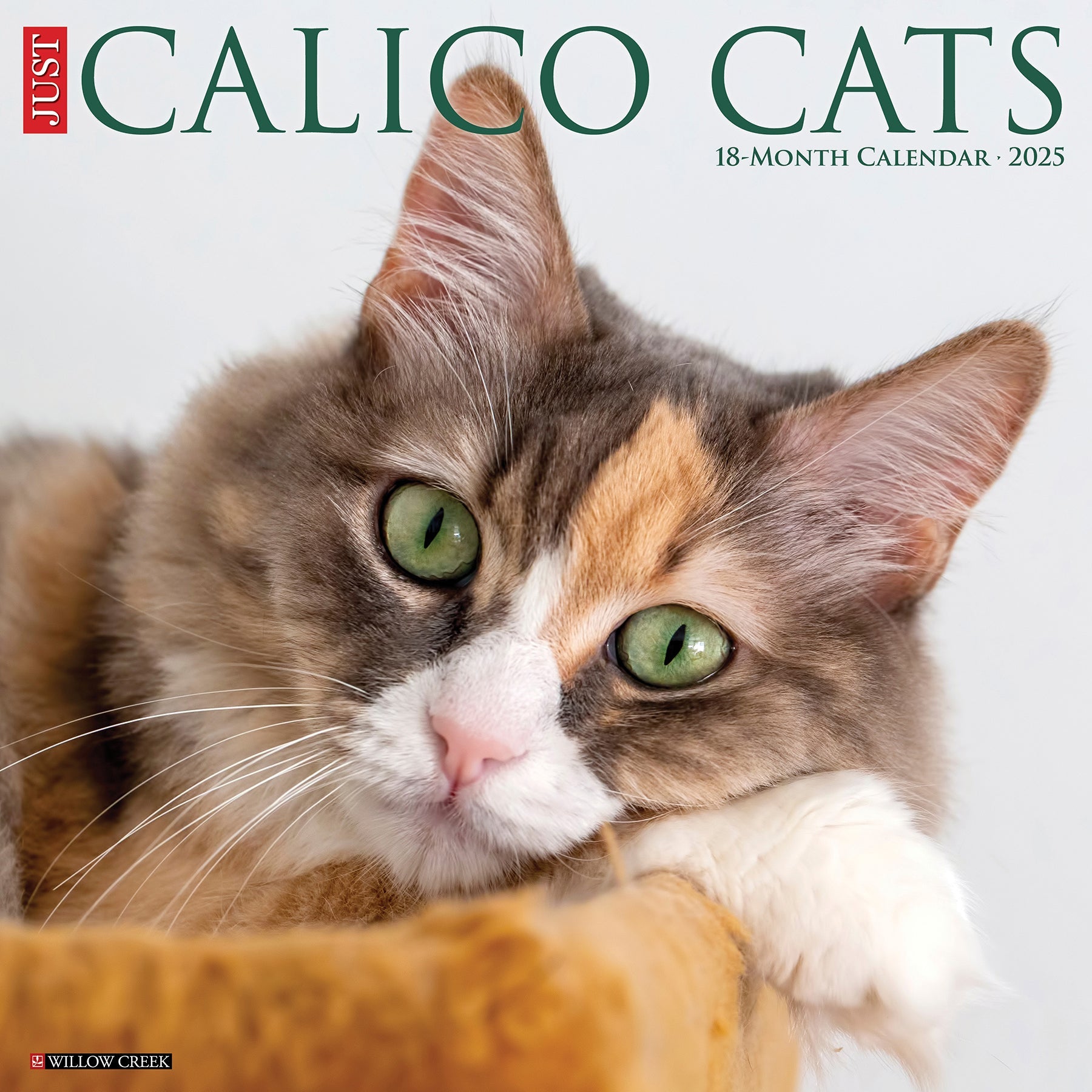 2025 Calico Cats - Square Wall Calendar