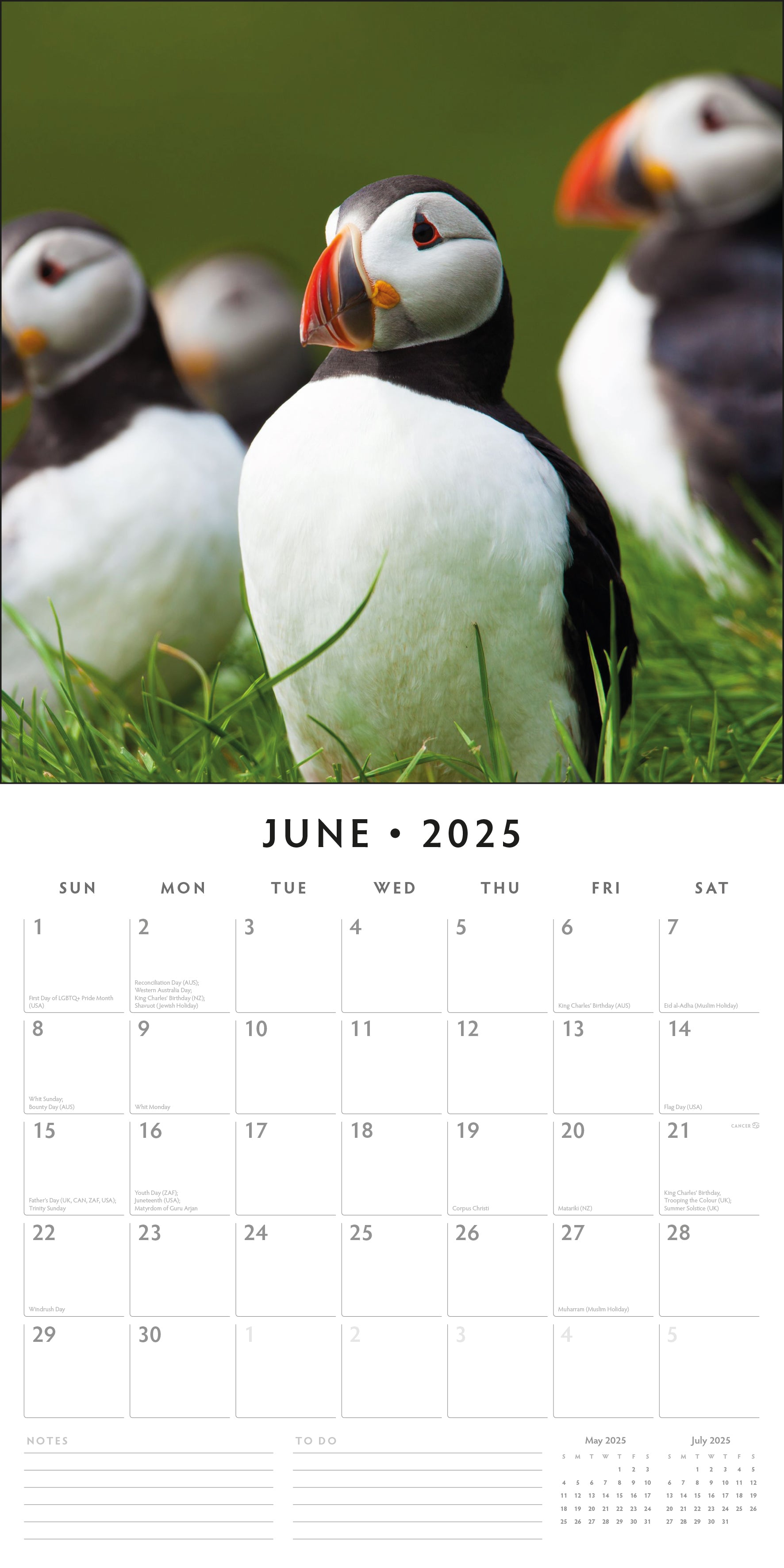 2025 Puffins - Square Wall Calendar