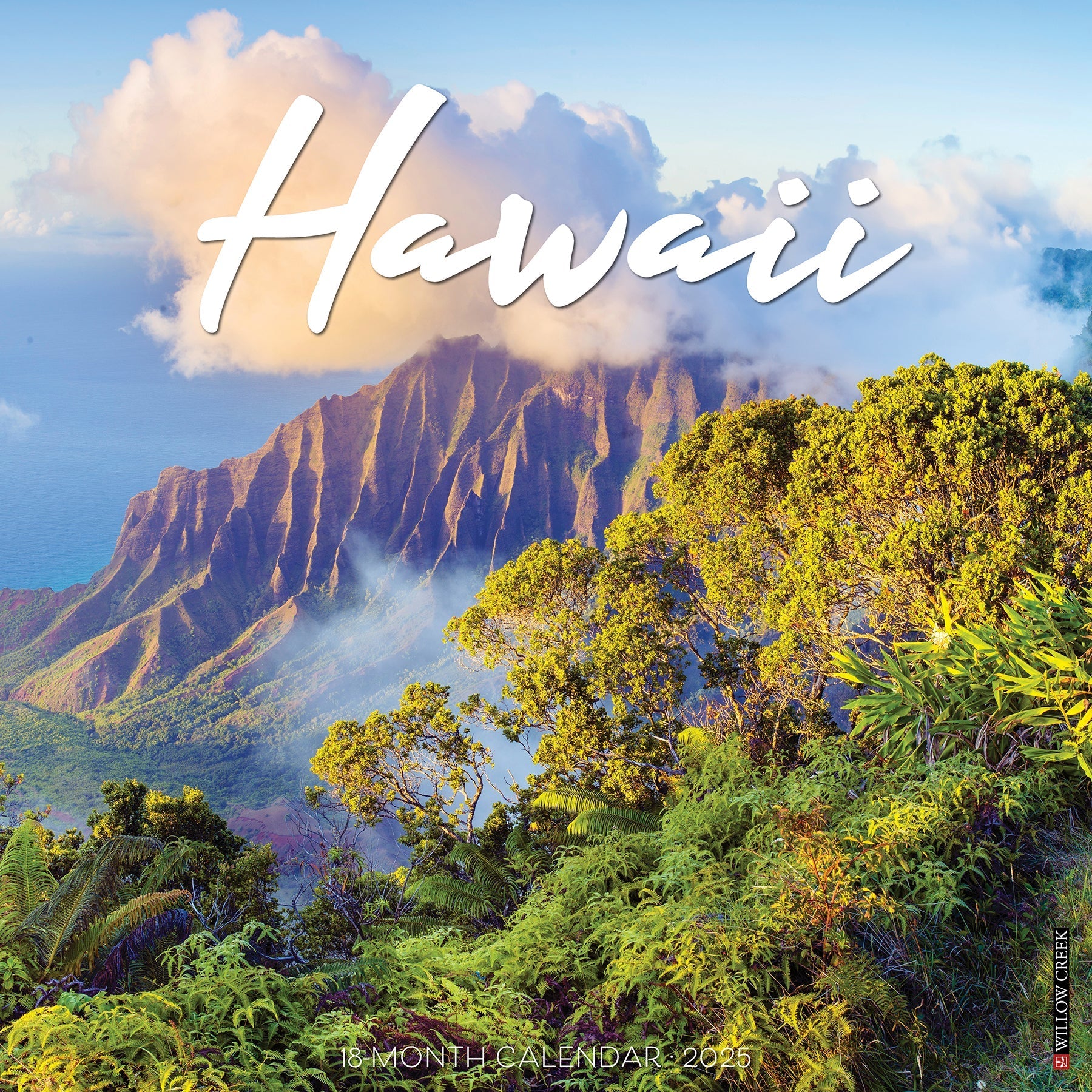 2025 Hawaii - Square Wall Calendar