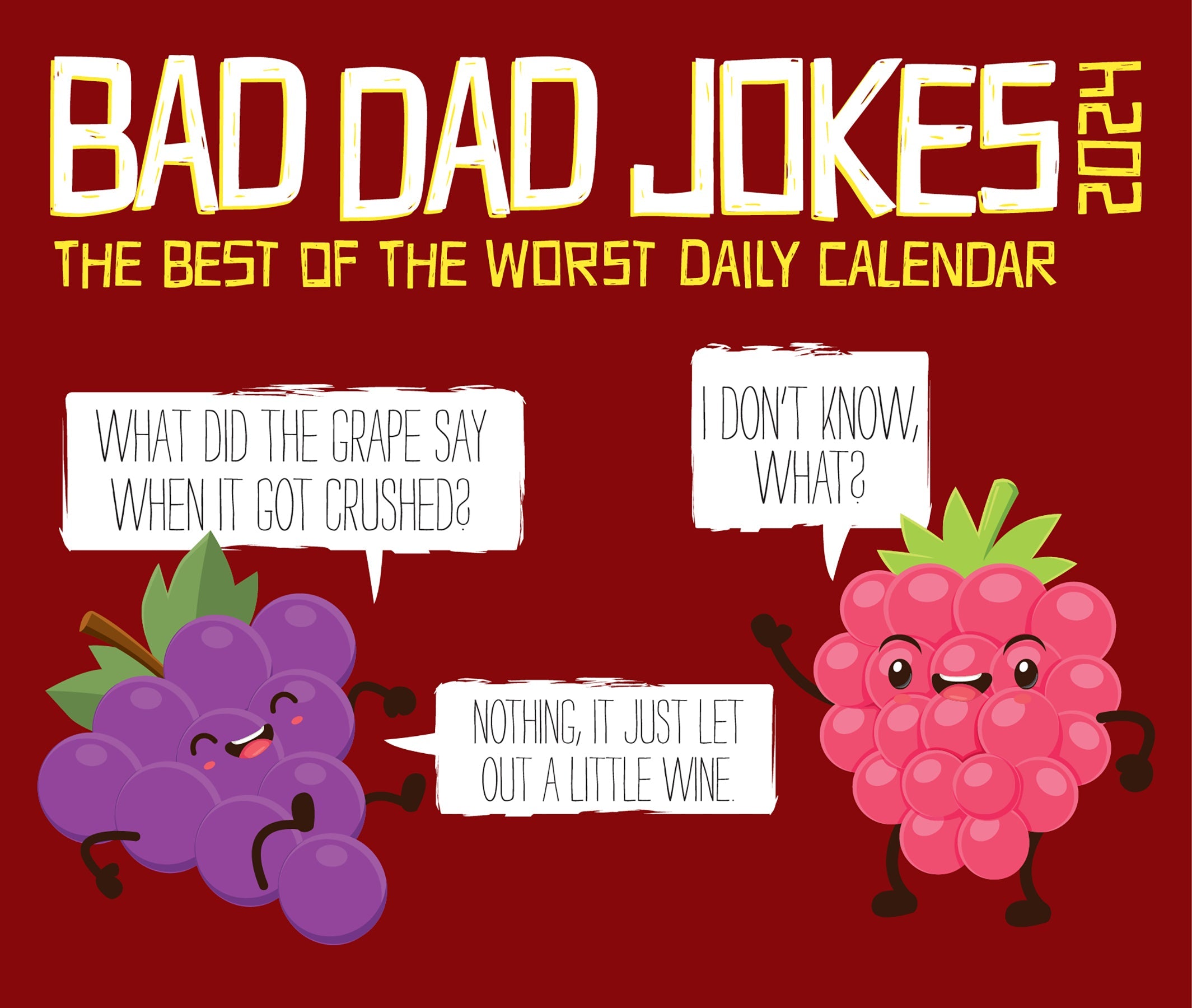 2024 Bad Dad Jokes Daily Boxed PageADay Fun & Humor Calendars by