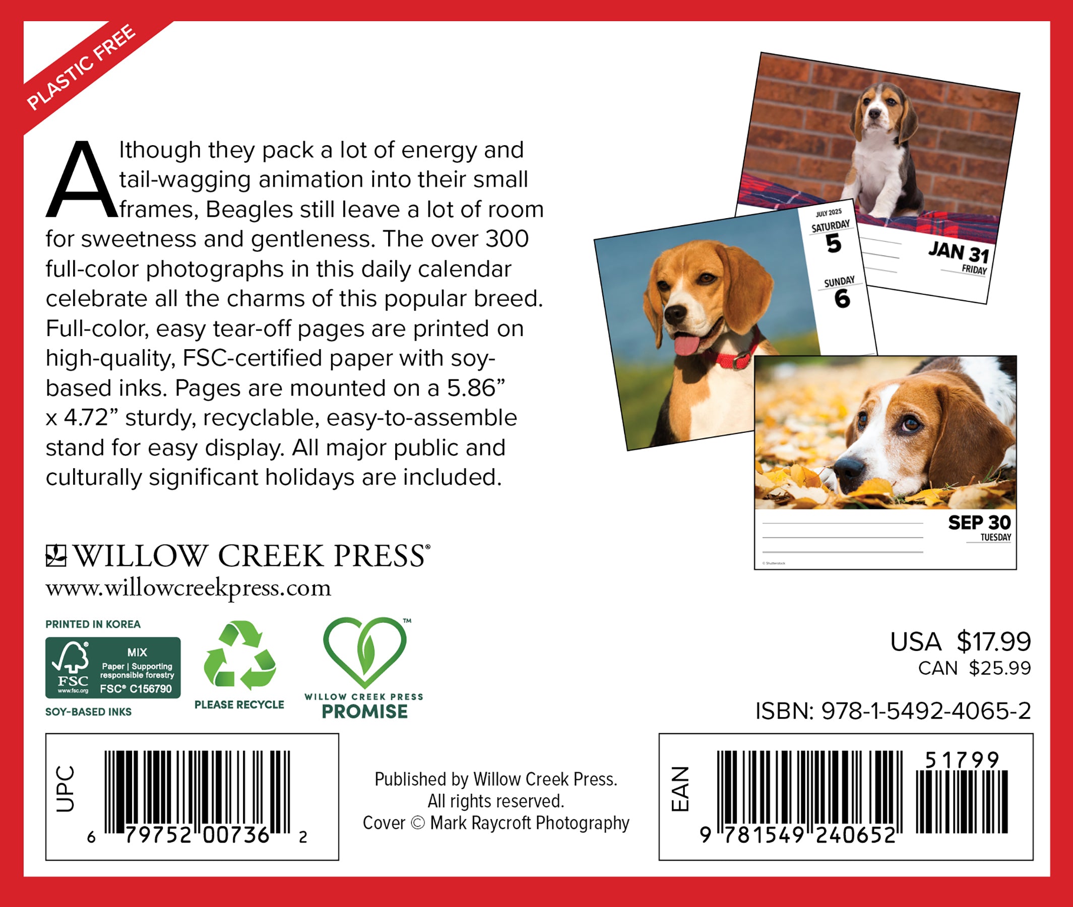 2025 Beagles - Daily Boxed Page-A-Day Calendar