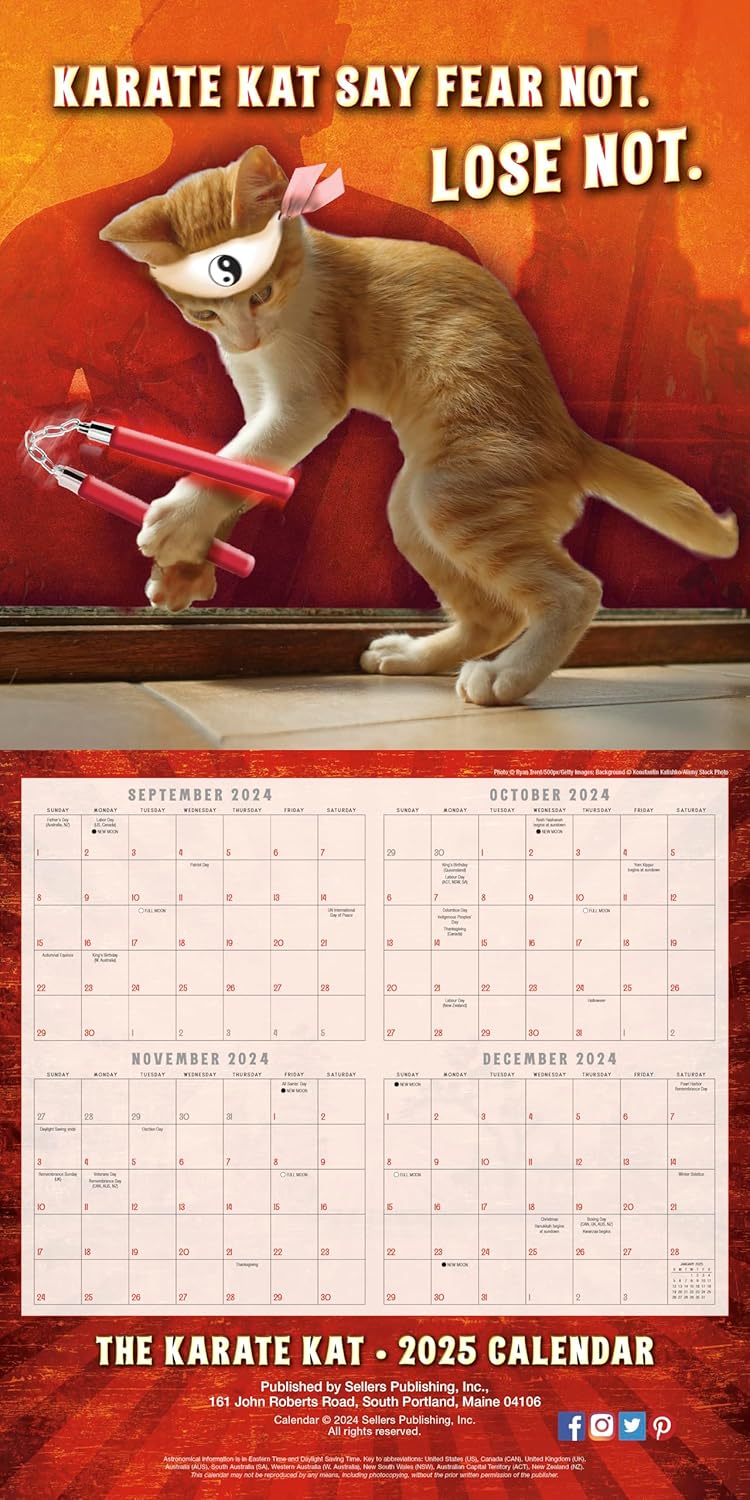 2025 The Karate Kat - Square Wall Calendar