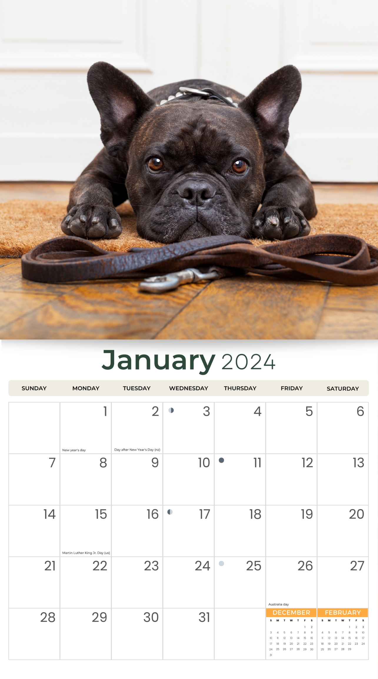 2024 French Bulldogs Dogs & Puppies - Deluxe Wall Calendar by Just Calendars - 16 Month - Plastic Free