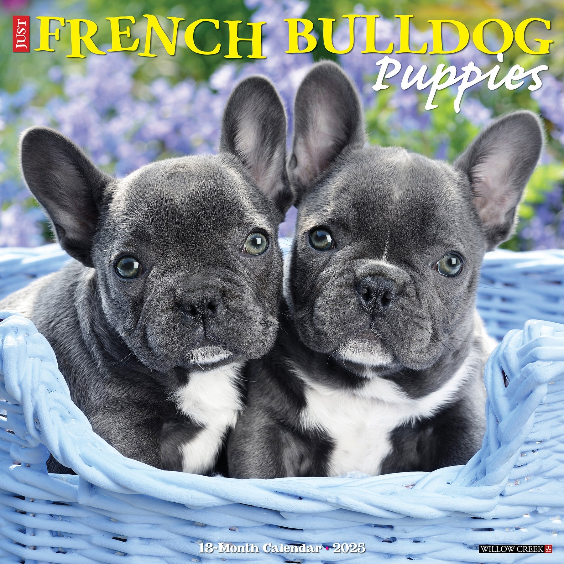 2025 French Bulldog Puppies - Square Wall Calendar