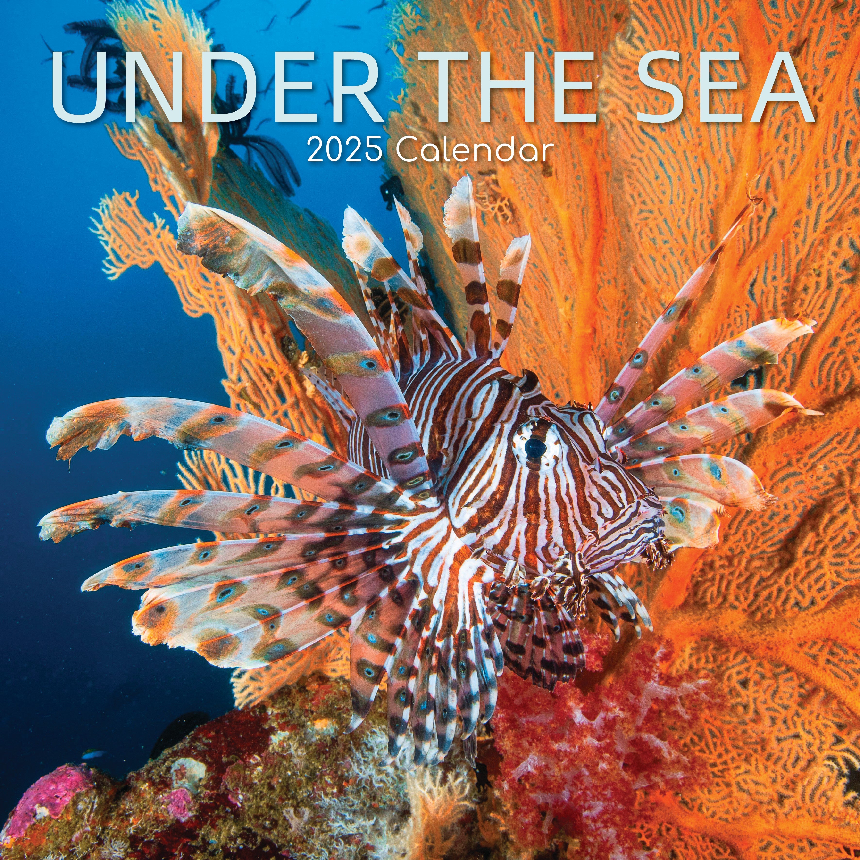 2025 Under the Sea - Square Wall Calendar