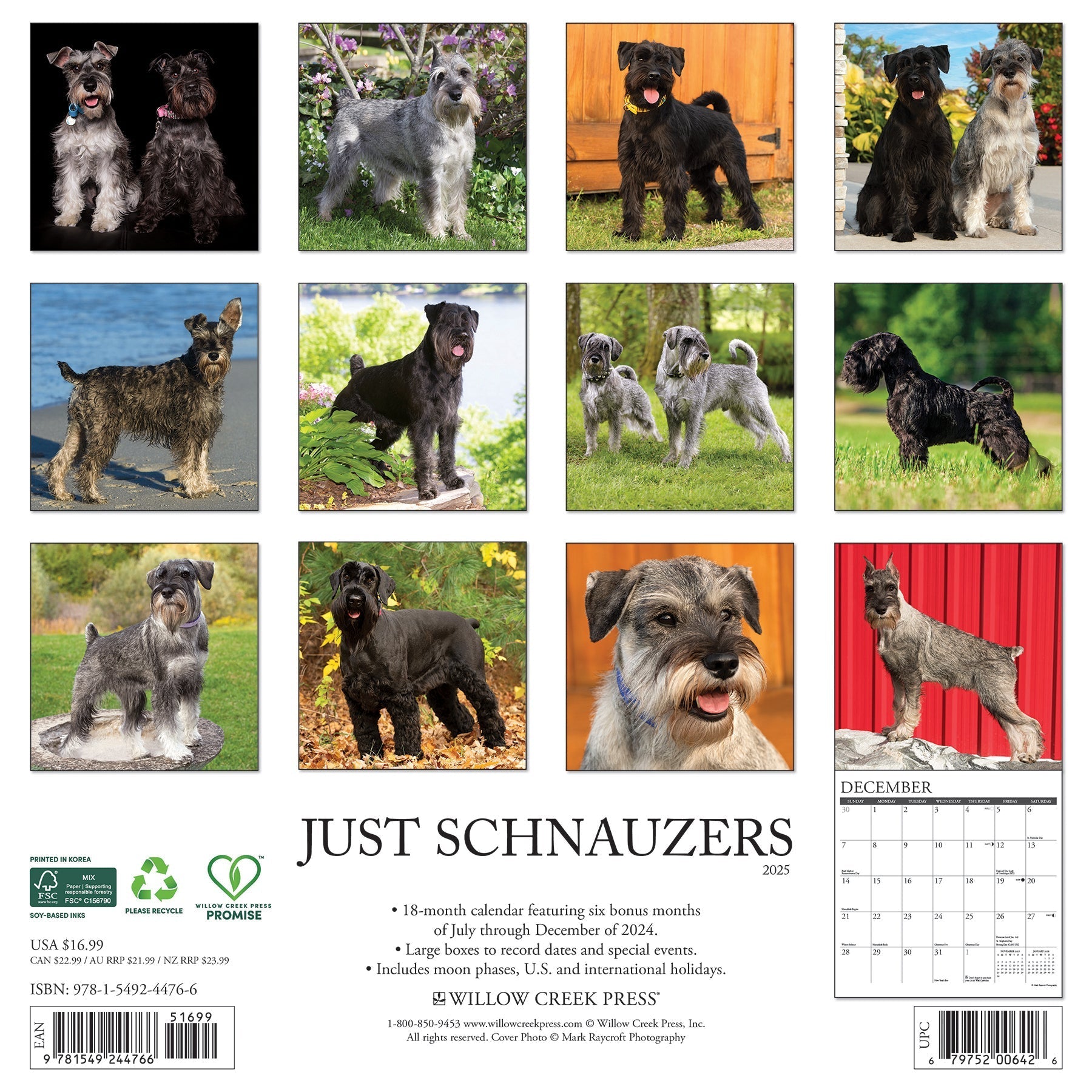 2025 Schnauzers - Square Wall Calendar