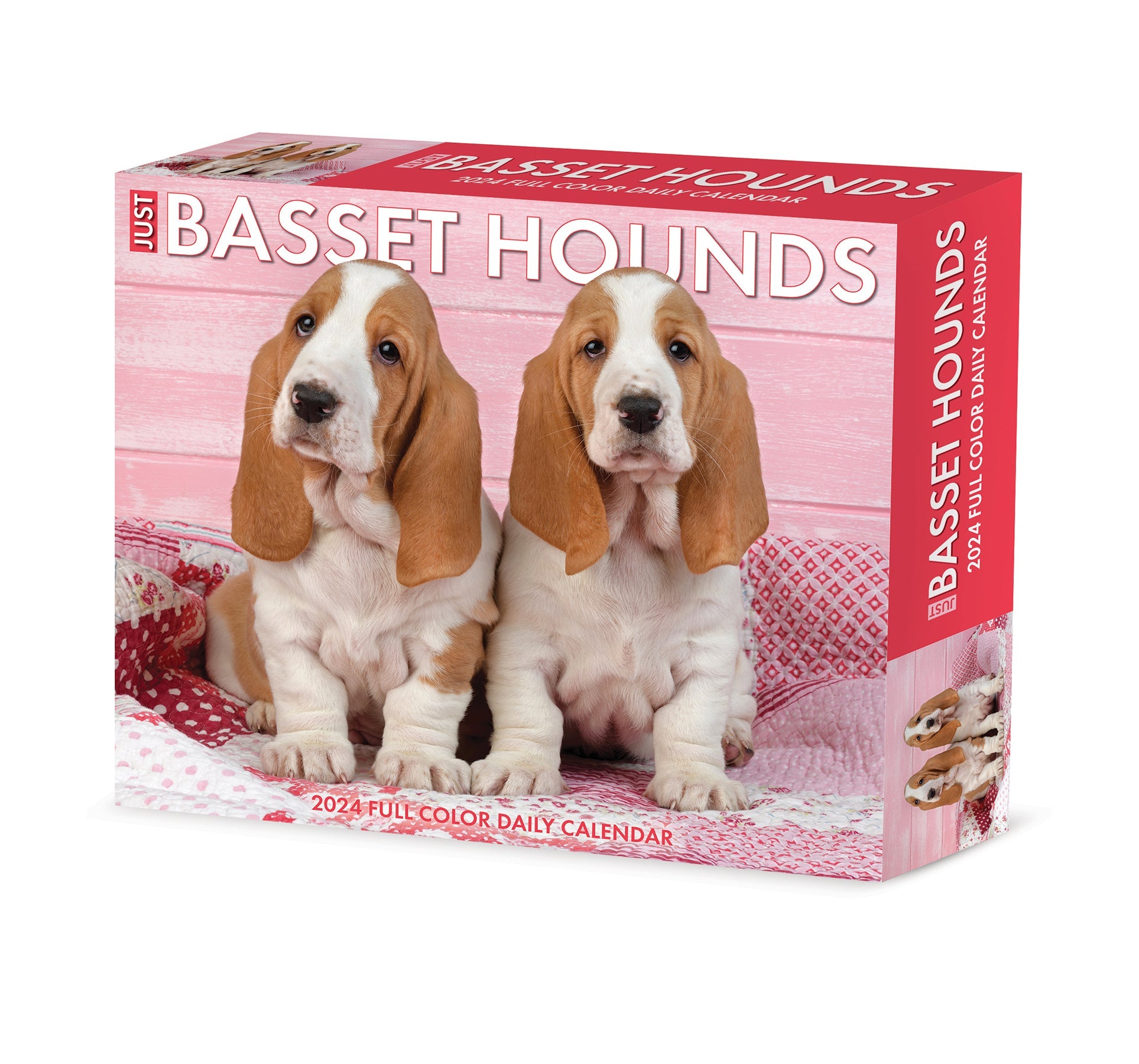 2024 Basset Hounds - Daily Boxed Page-A-Day Calendar