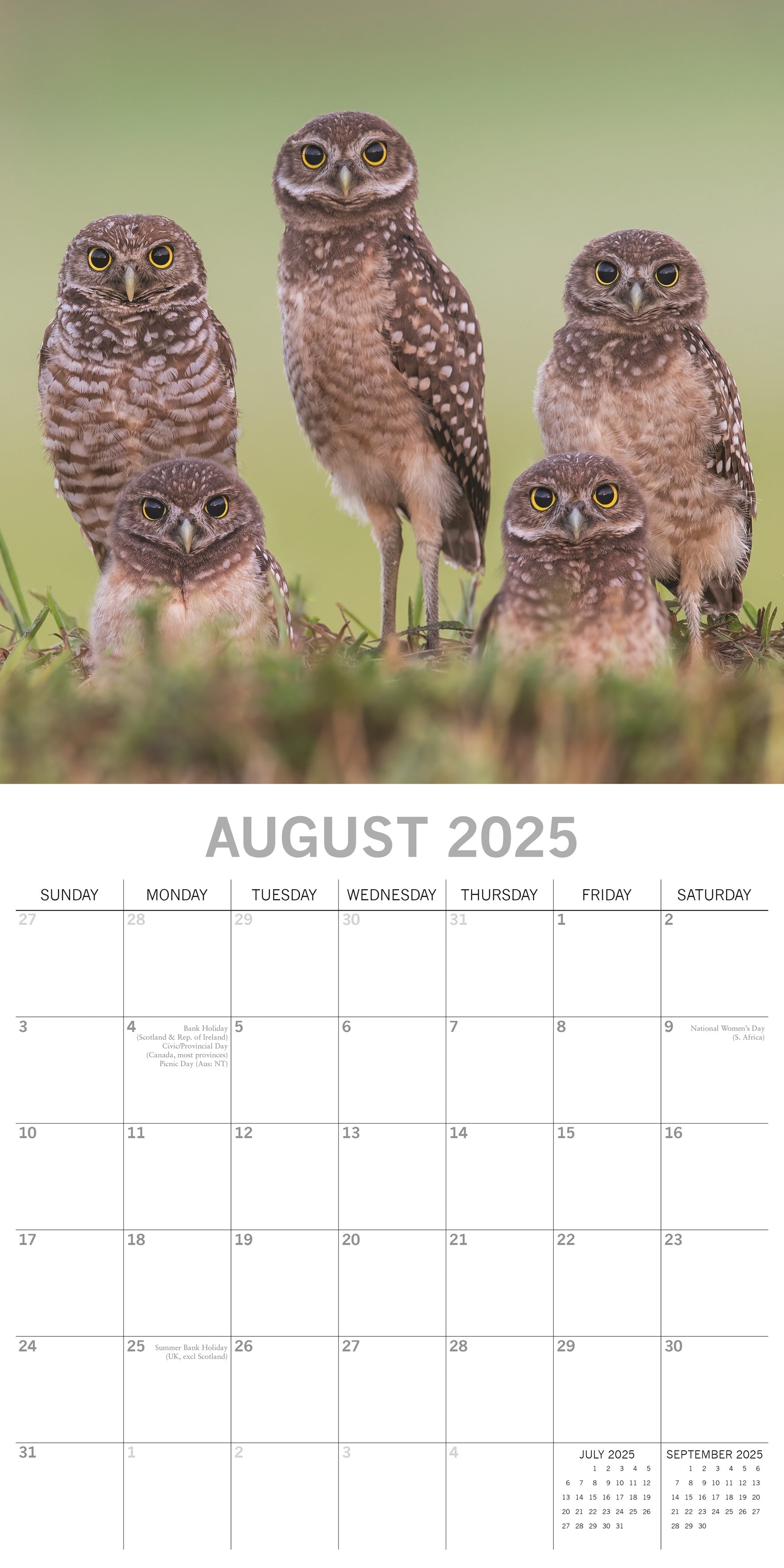 2025 Owls - Square Wall Calendar