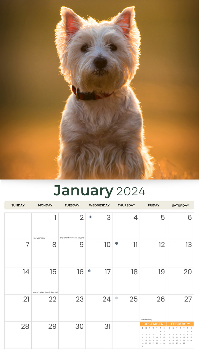2024 Westies Deluxe Wall Calendar Dogs & Puppies Calendars By Just