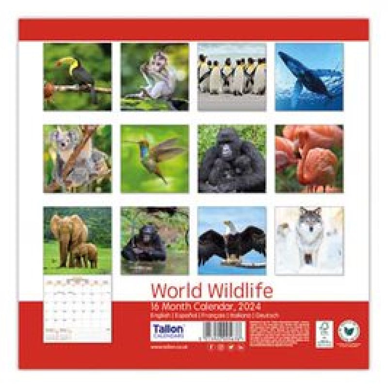2024 World Wildlife - Square Wall Calendar