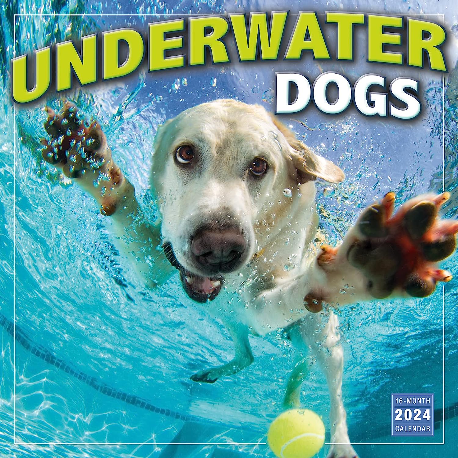 2024 Underwater Dogs: Seth Castell - Square Wall Calendar  SOLD OUT