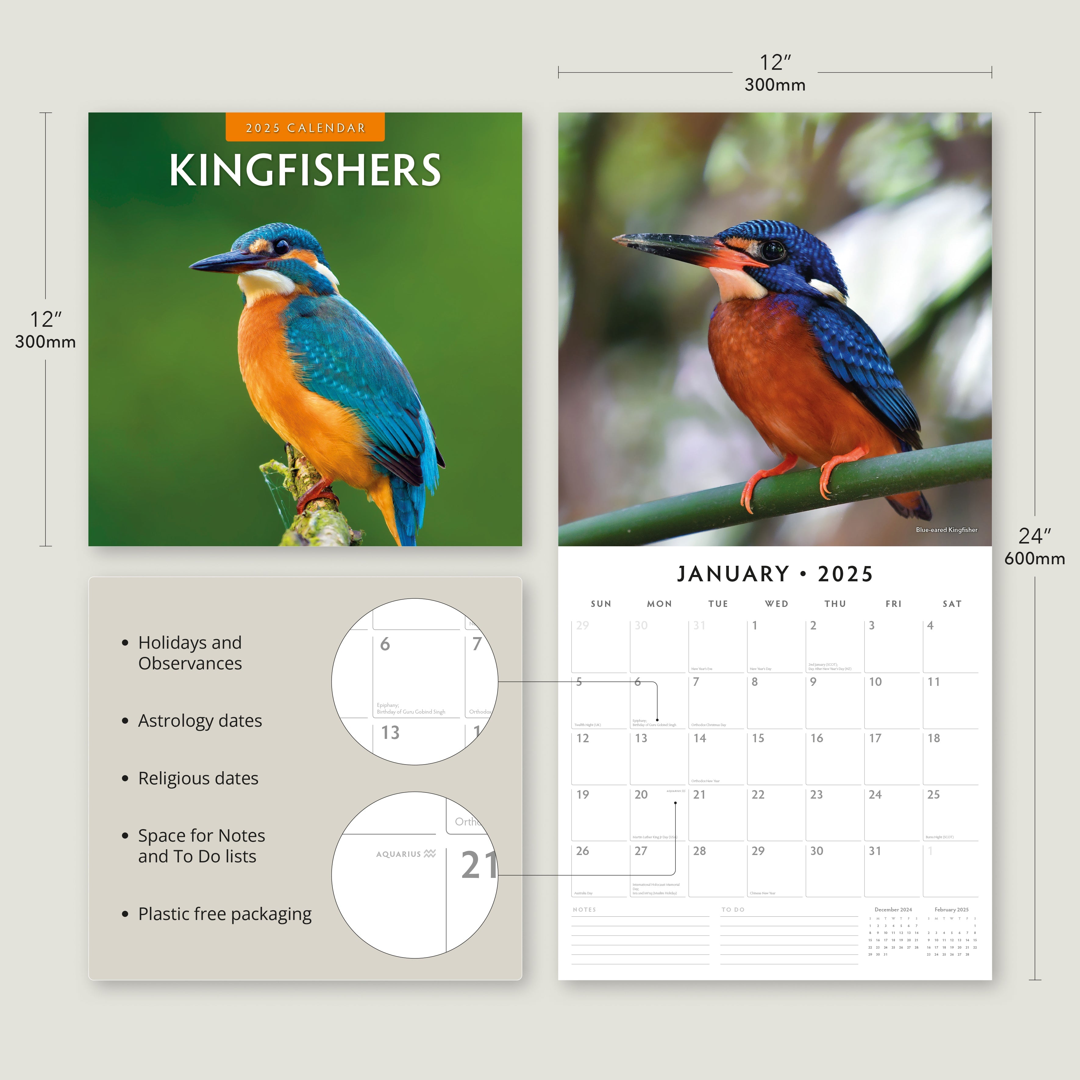2025 Kingfishers - Square Wall Calendar