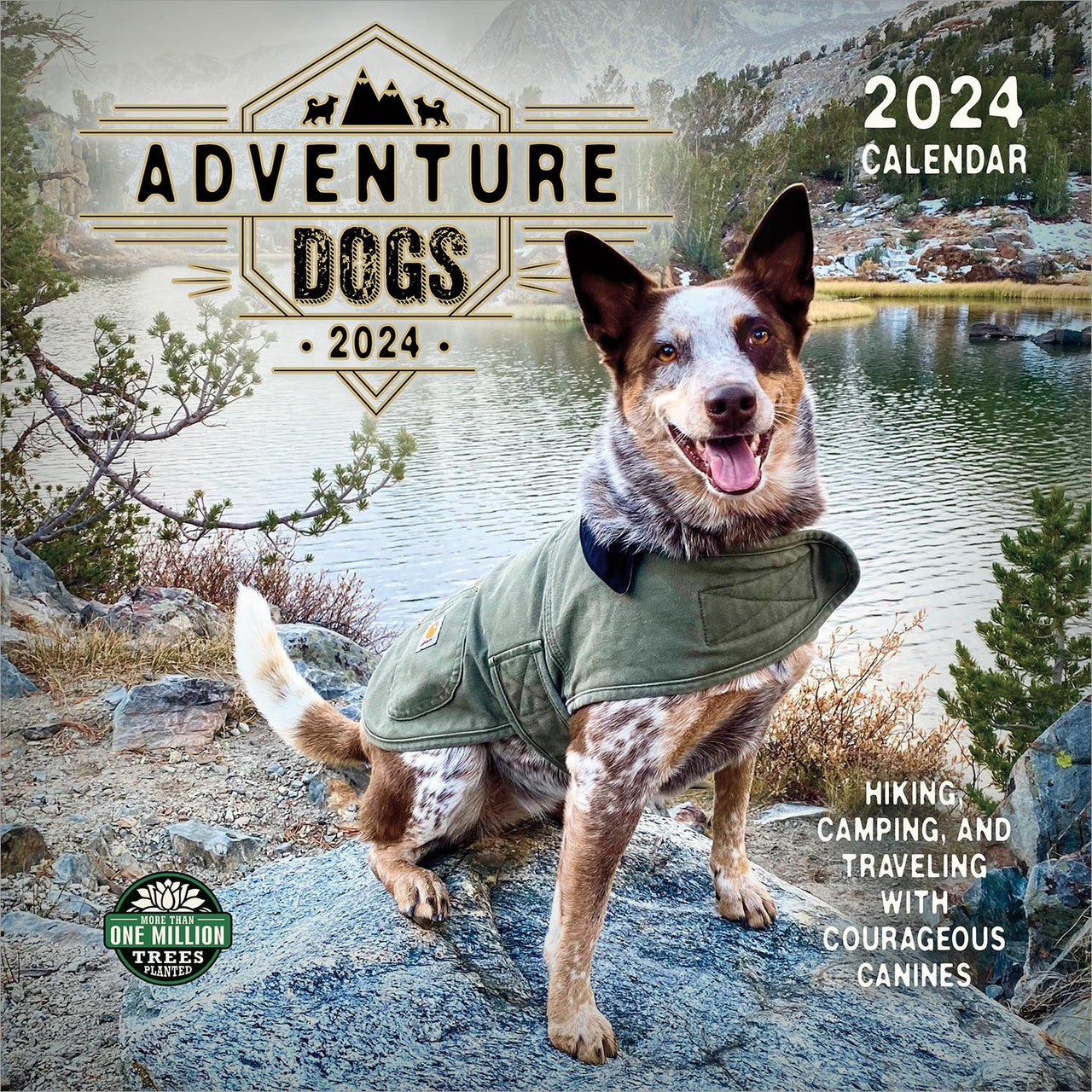 2024 Adventure Dogs Square Wall Calendar   Dfec6f6eca5be8bc52d1c3c3f30c2fec 