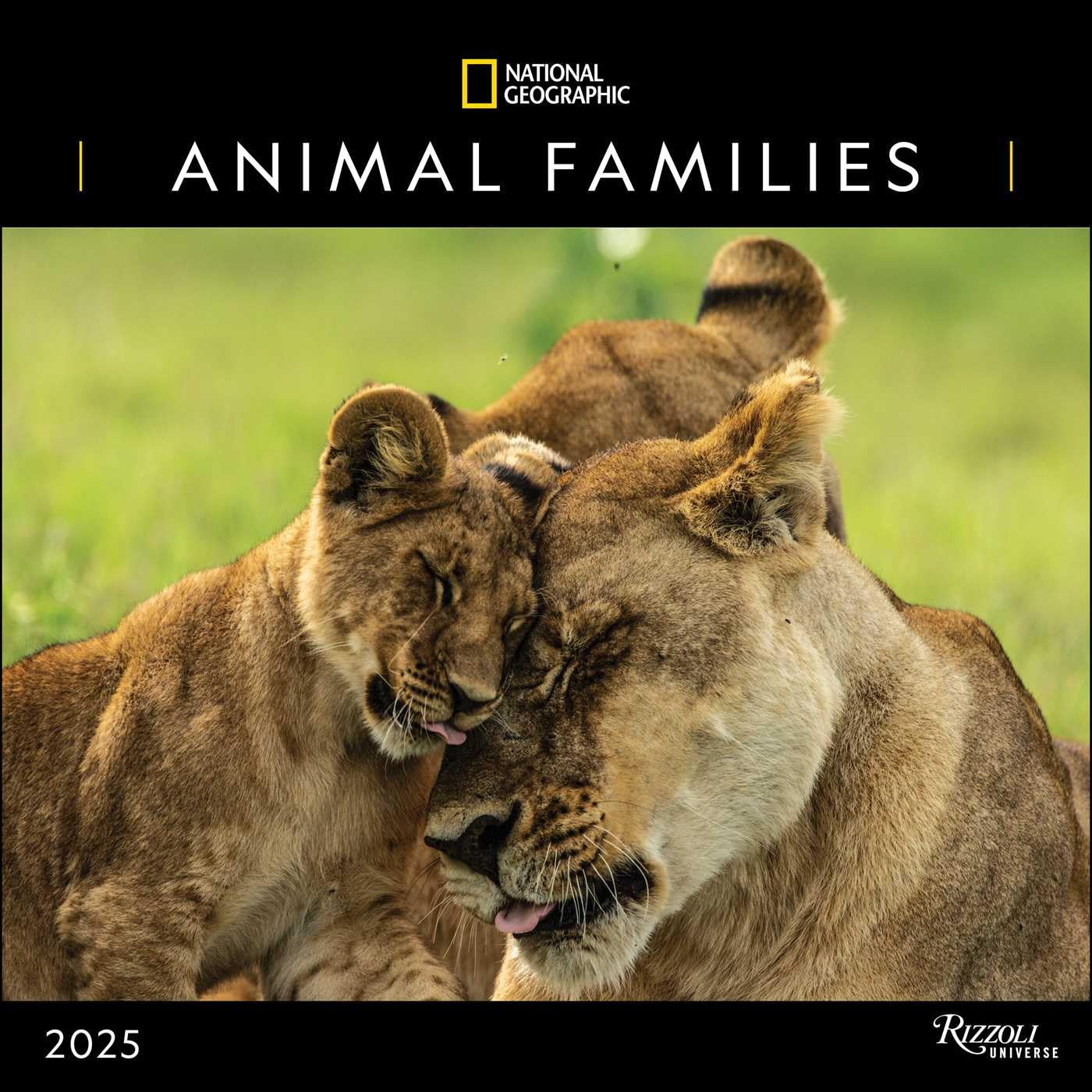 2025 National Geographic: Animal Families - Square Wall Calendar