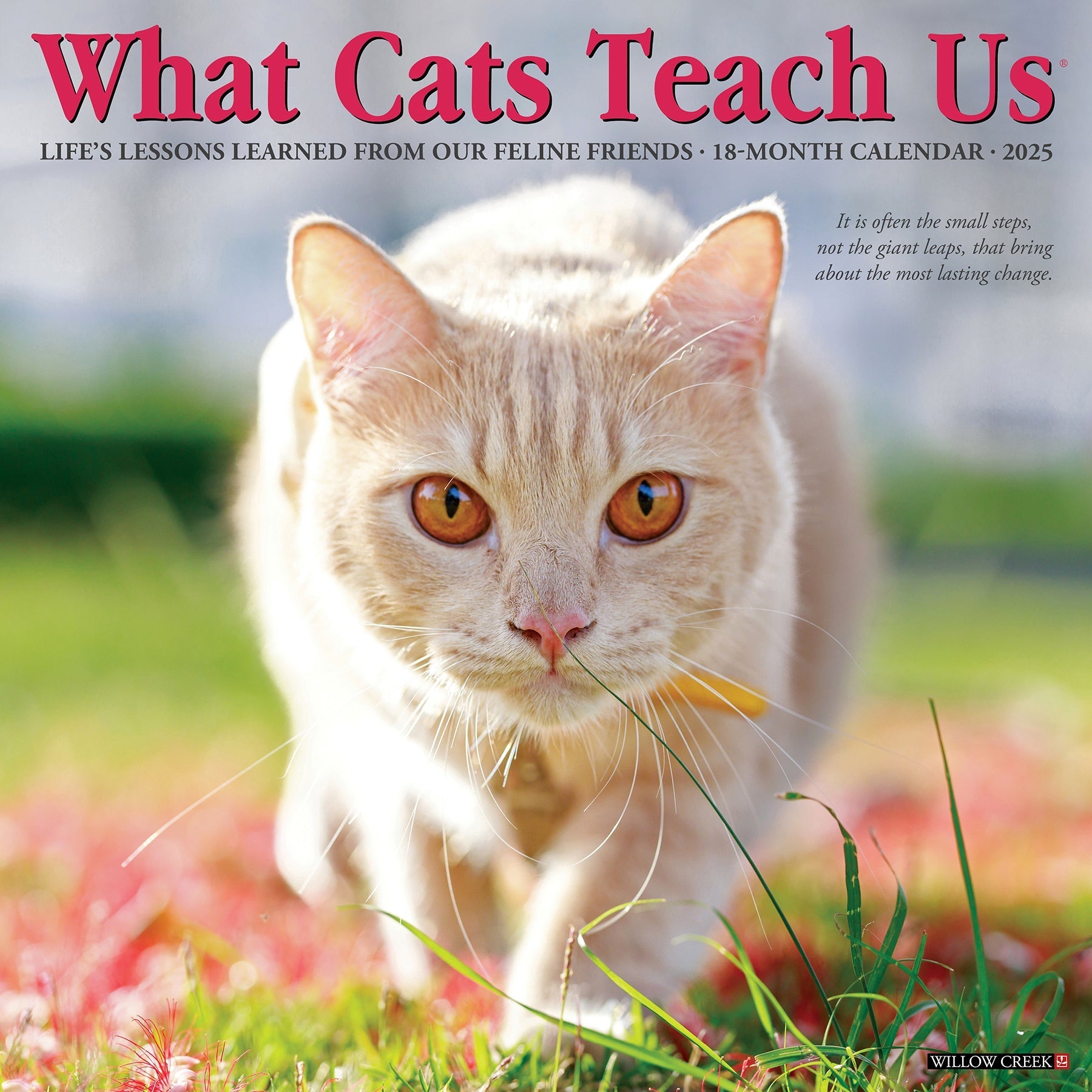 2025 What Cats Teach Us - Square Wall Calendar