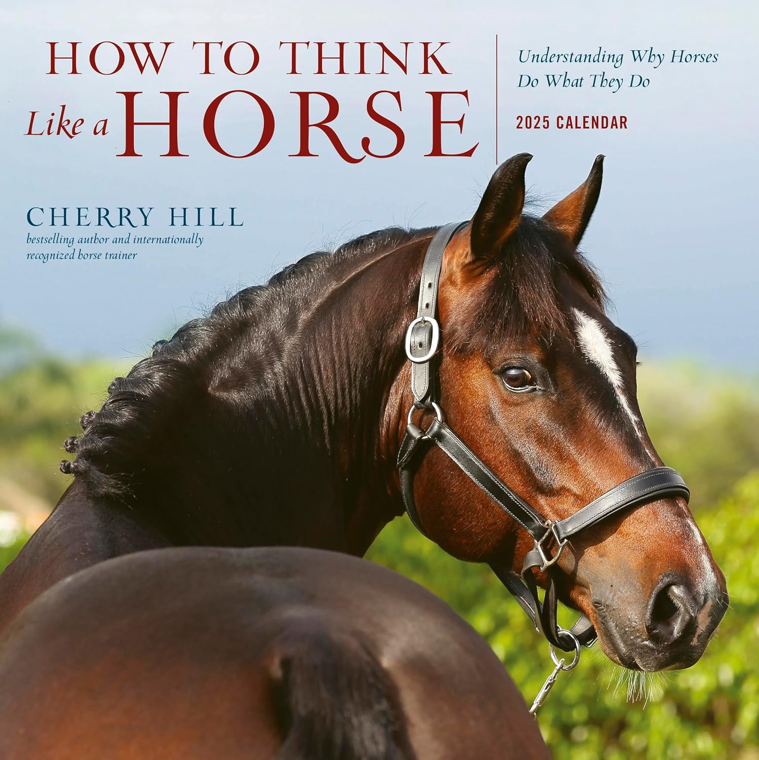 2025 How to Think Like a Horse - Square Wall Calendar