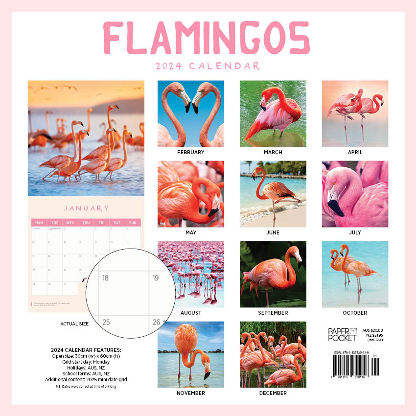 2024 Flamingos Square Wall Calendar