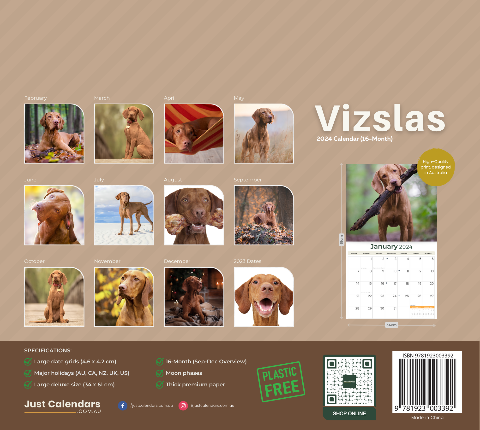 2024 Vizslas Dogs & Puppies - Deluxe Wall Calendar by Just Calendars - 16 Month - Plastic Free