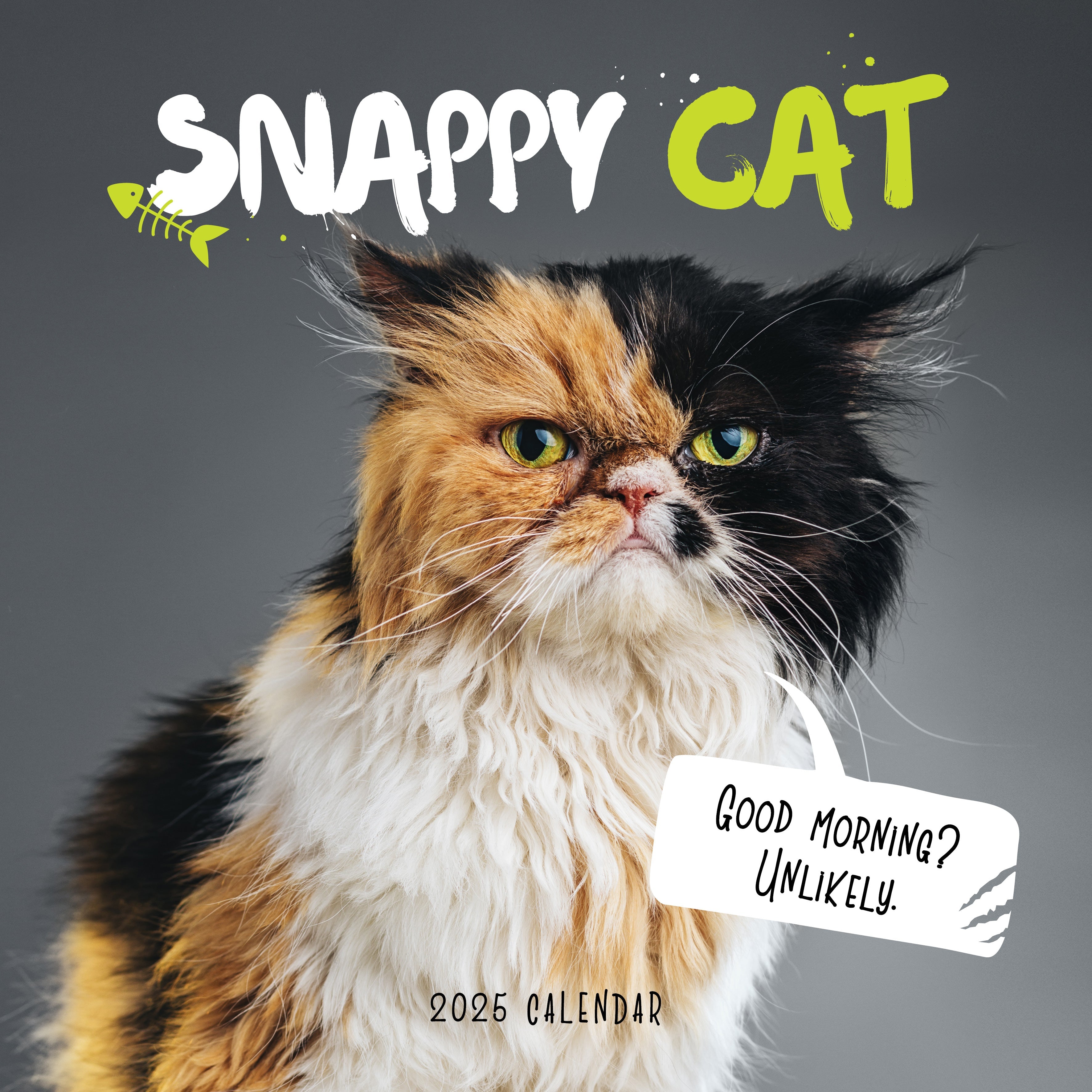 2025 Snappy Cat - Square Wall Calendar