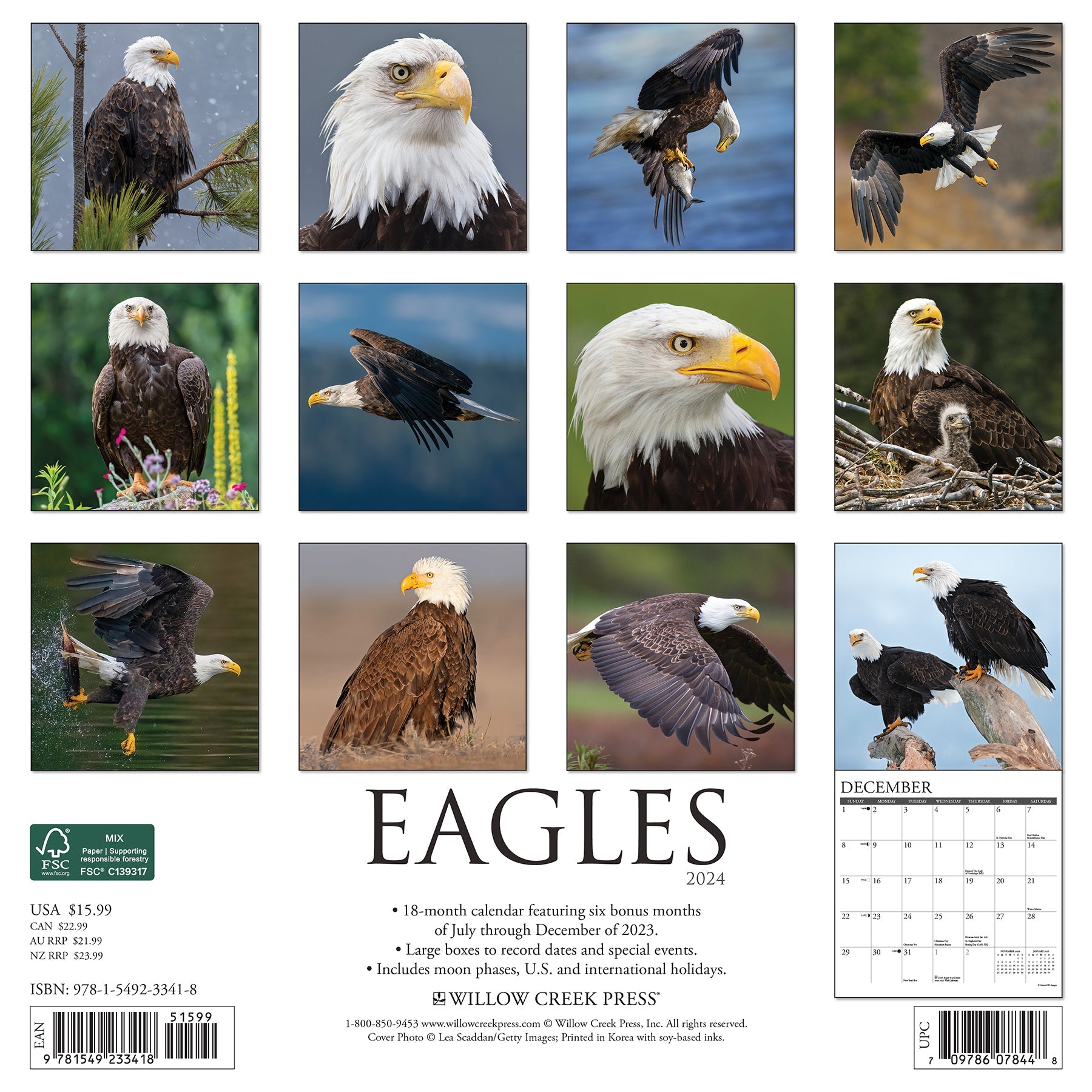 2024 Eagles - Square Wall Calendar