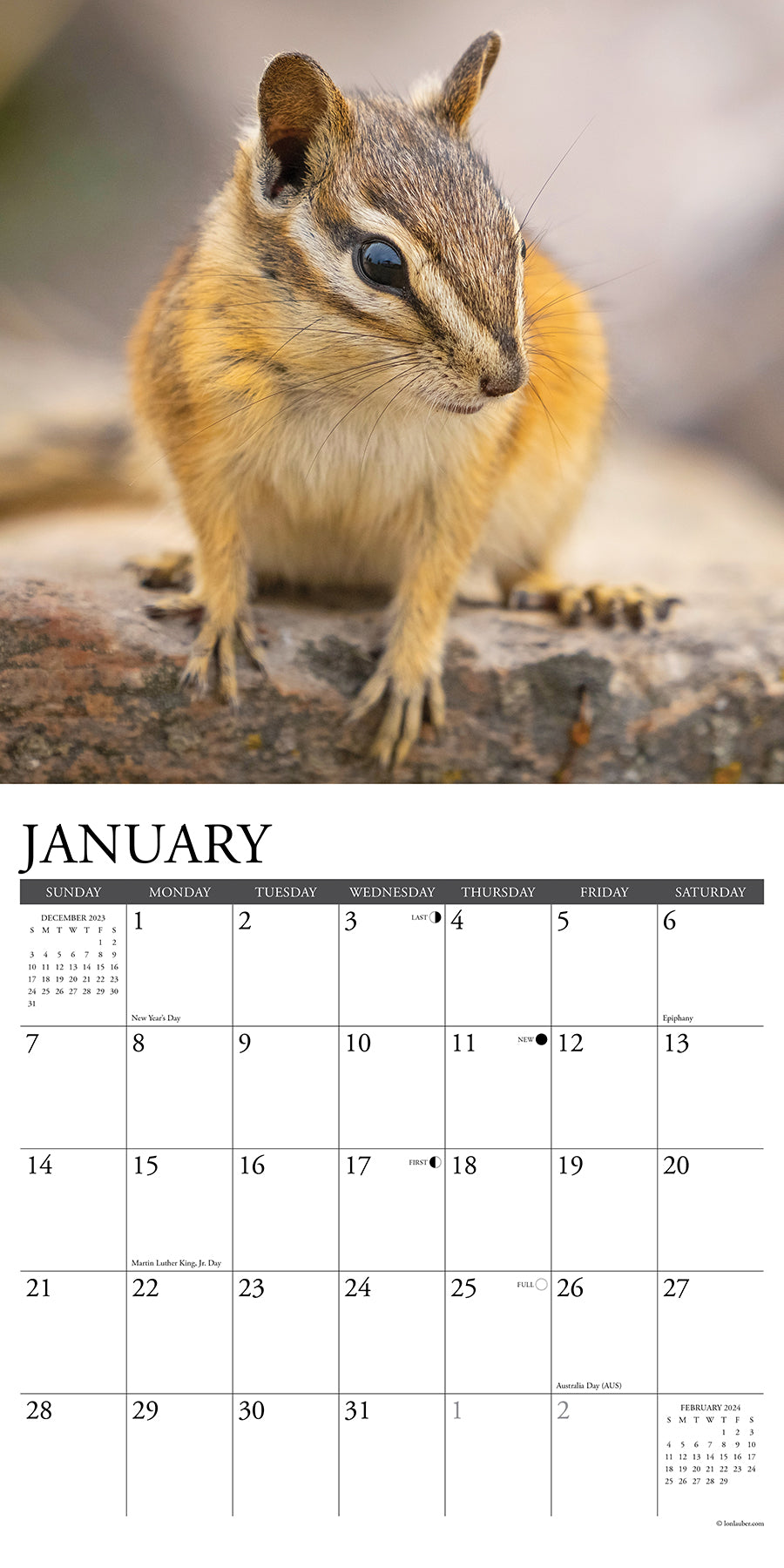 2024 Chipmunks (Gone Nuts!) - Square Wall Calendar