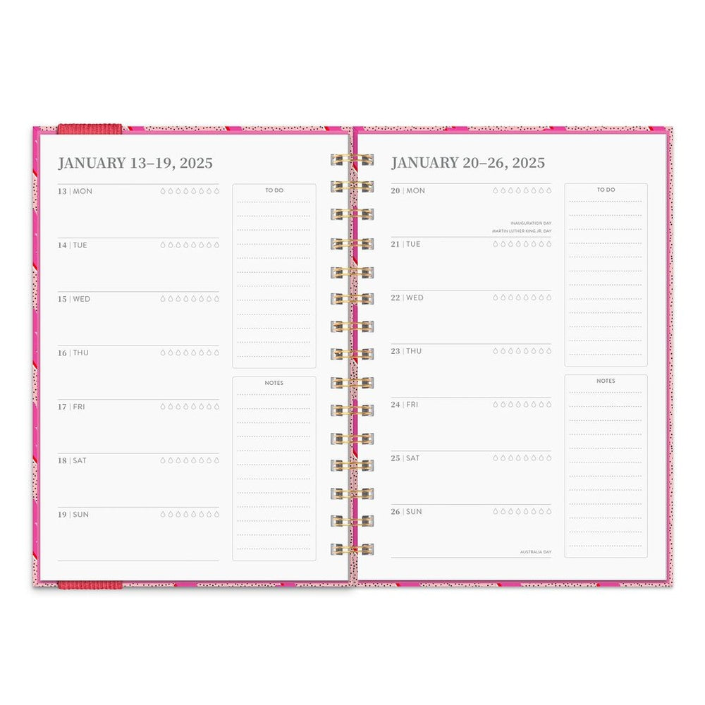 2025 Charged Up Oliver - Weekly & Monthly Diary/Planner