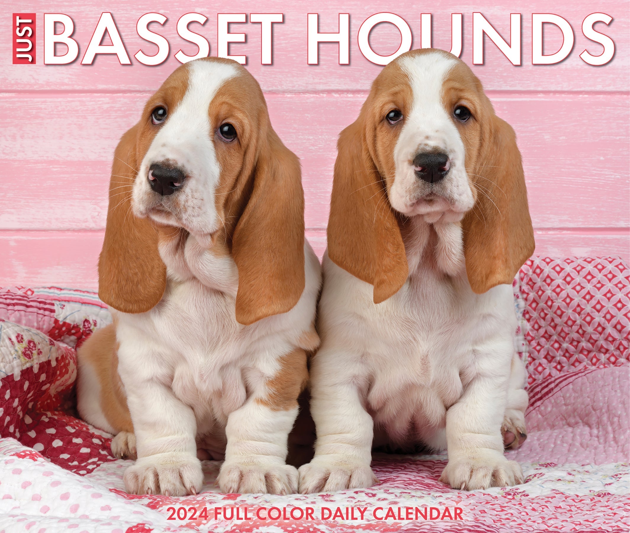 2024 Basset Hounds - Daily Boxed Page-A-Day Calendar