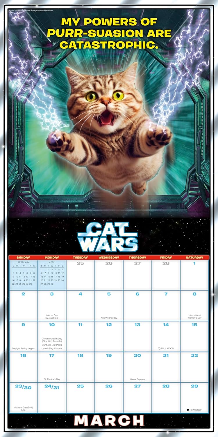 2025 Cat Wars - Square Wall Calendar