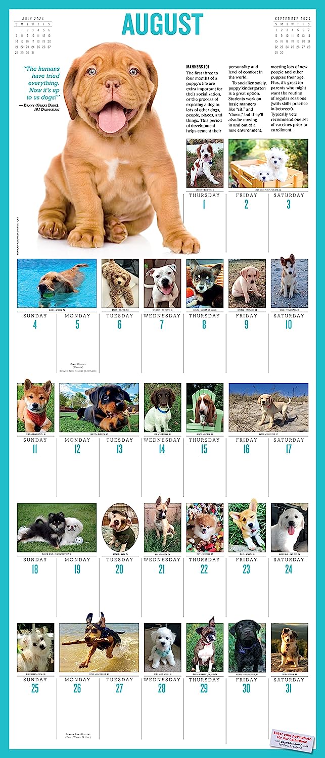 2024 365 PuppiesAYear Deluxe Wall Calendar