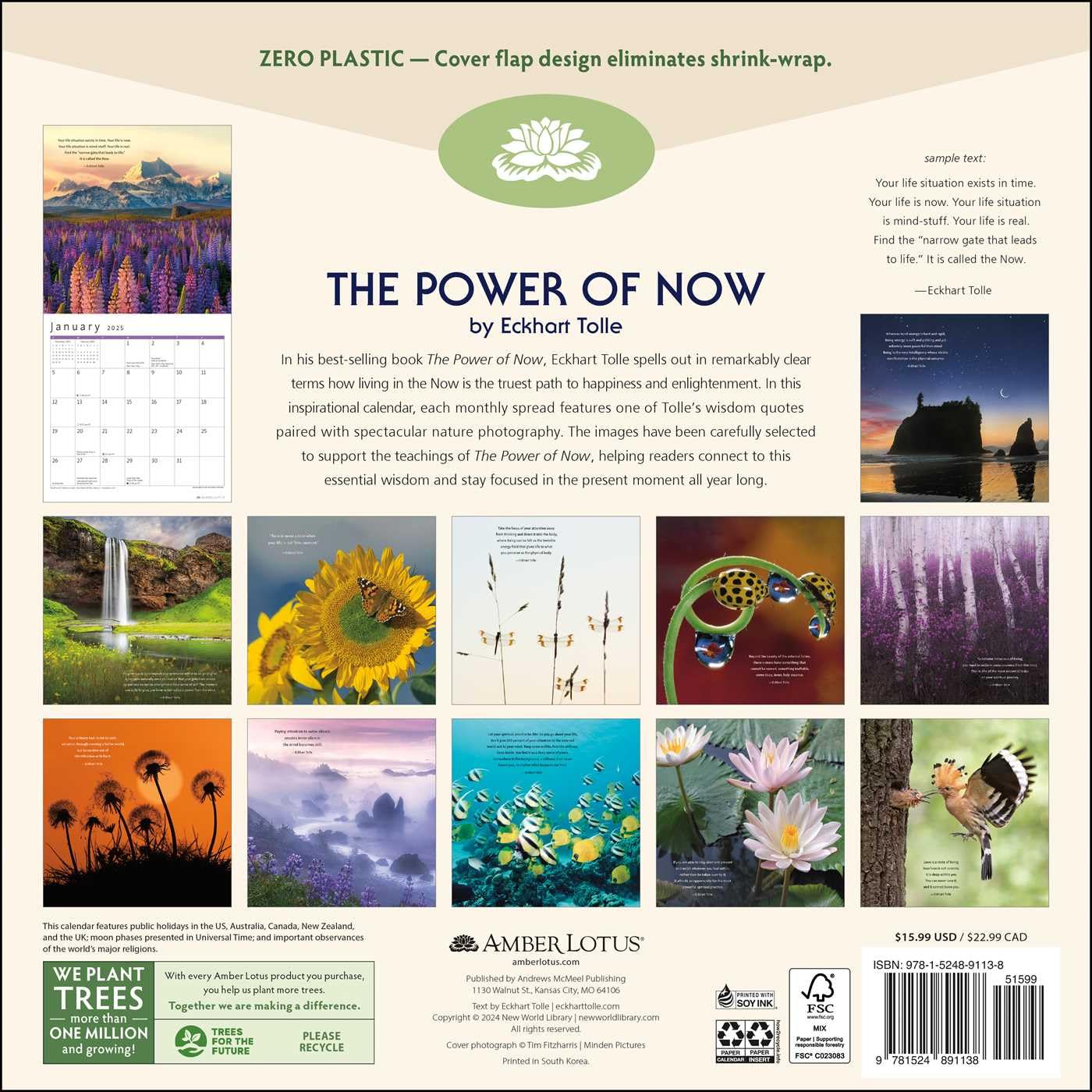 2025 Power of Now: Eckhart Tolle - Square Wall Calendar