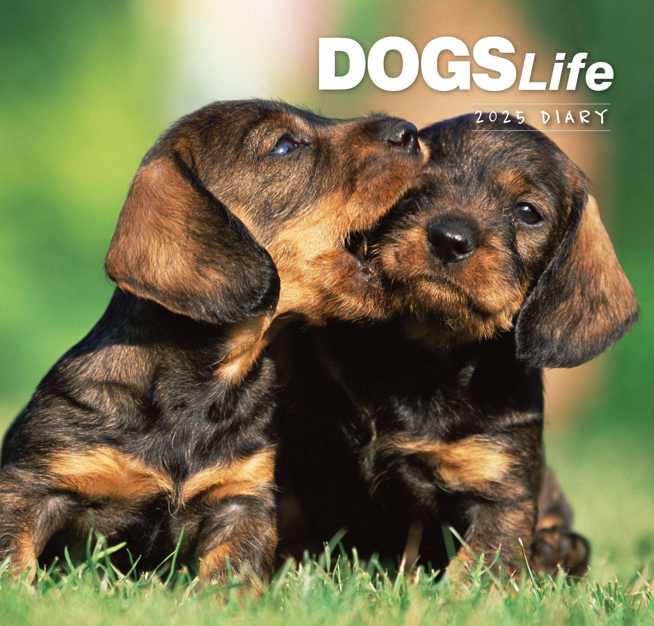 2025 Dogs Life - Bi-Weekly Diary/Planner