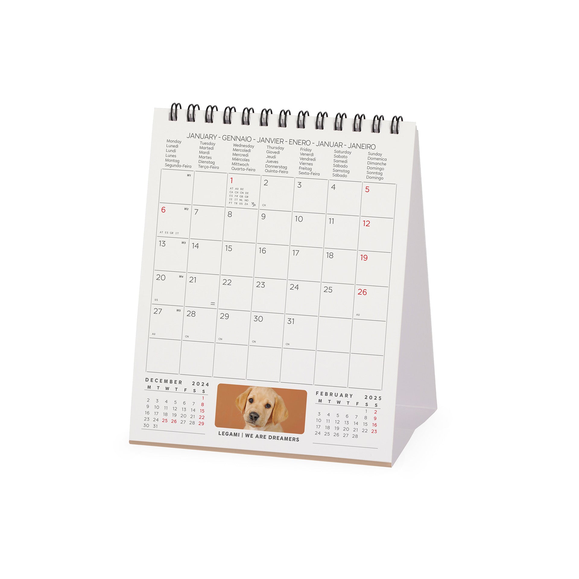 2025 Puppies by Legami - Desk Easel Calendar