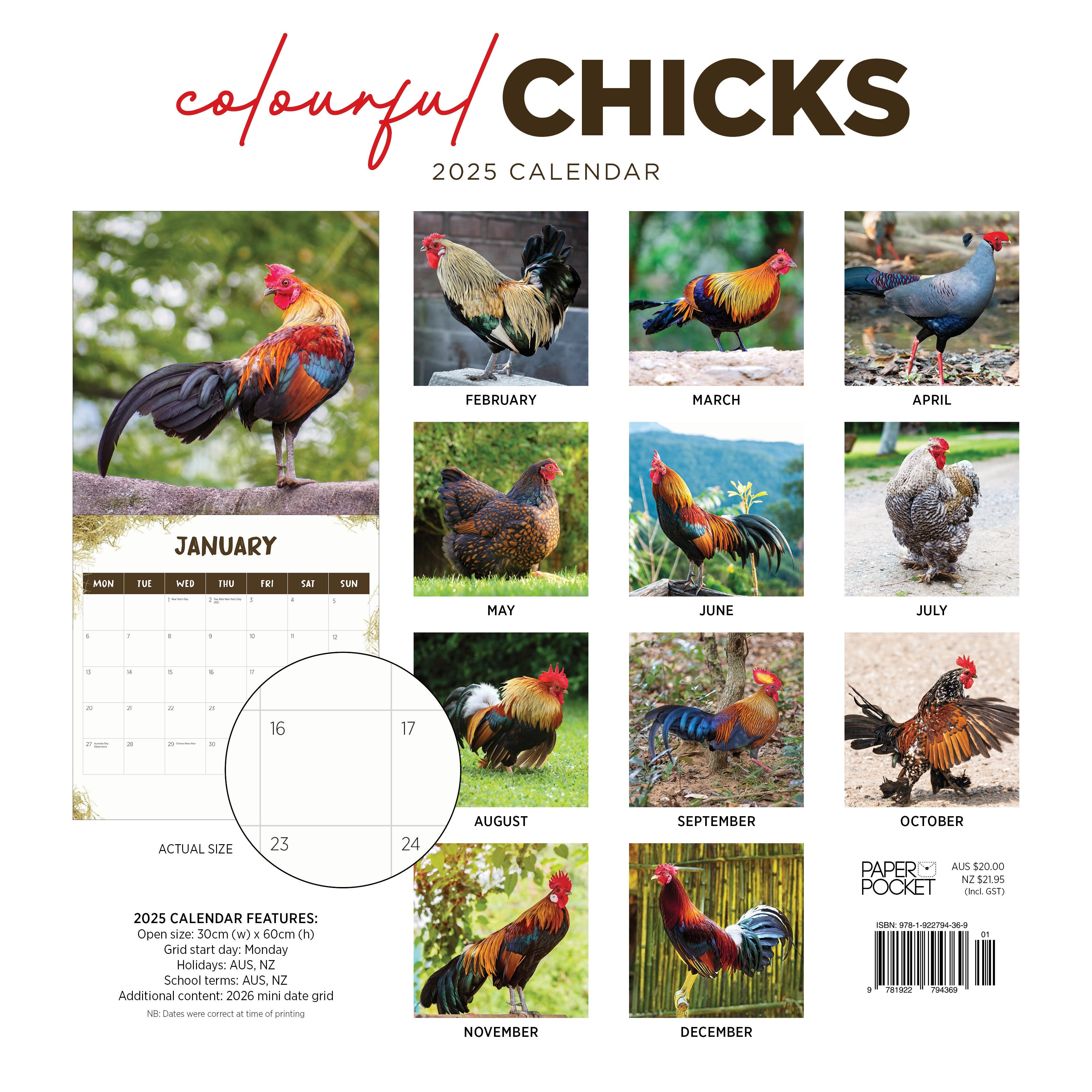 2025 Colourful Chicks - Square Wall Calendar