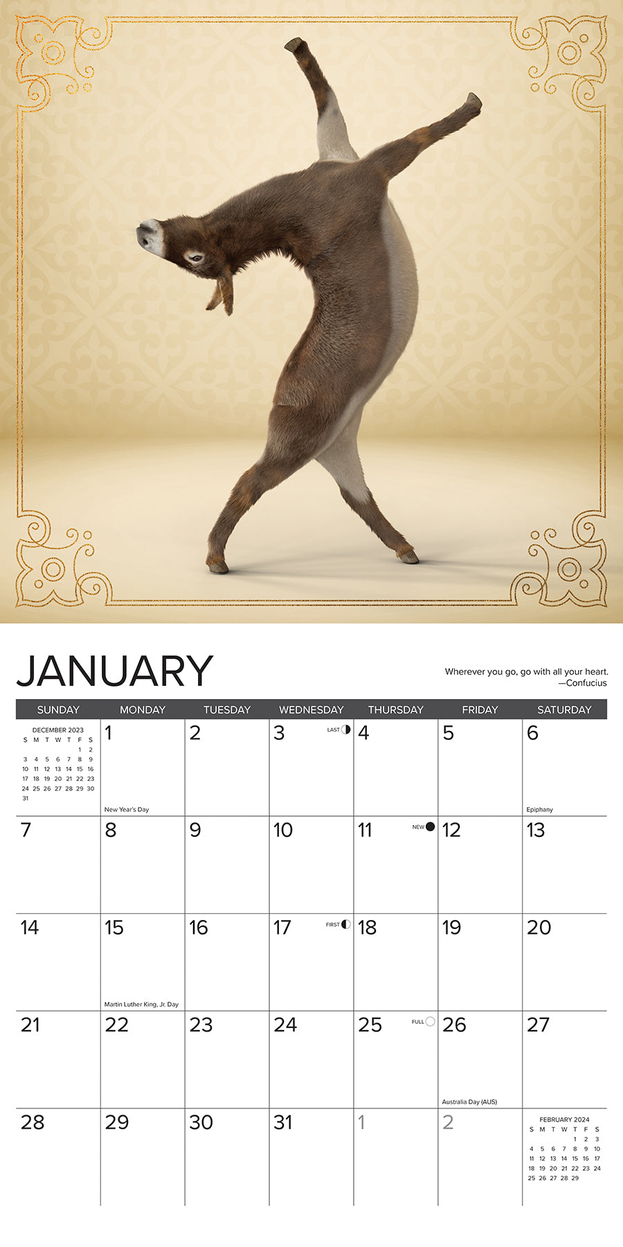2024 Jackass Yoga - Square Wall Calendar