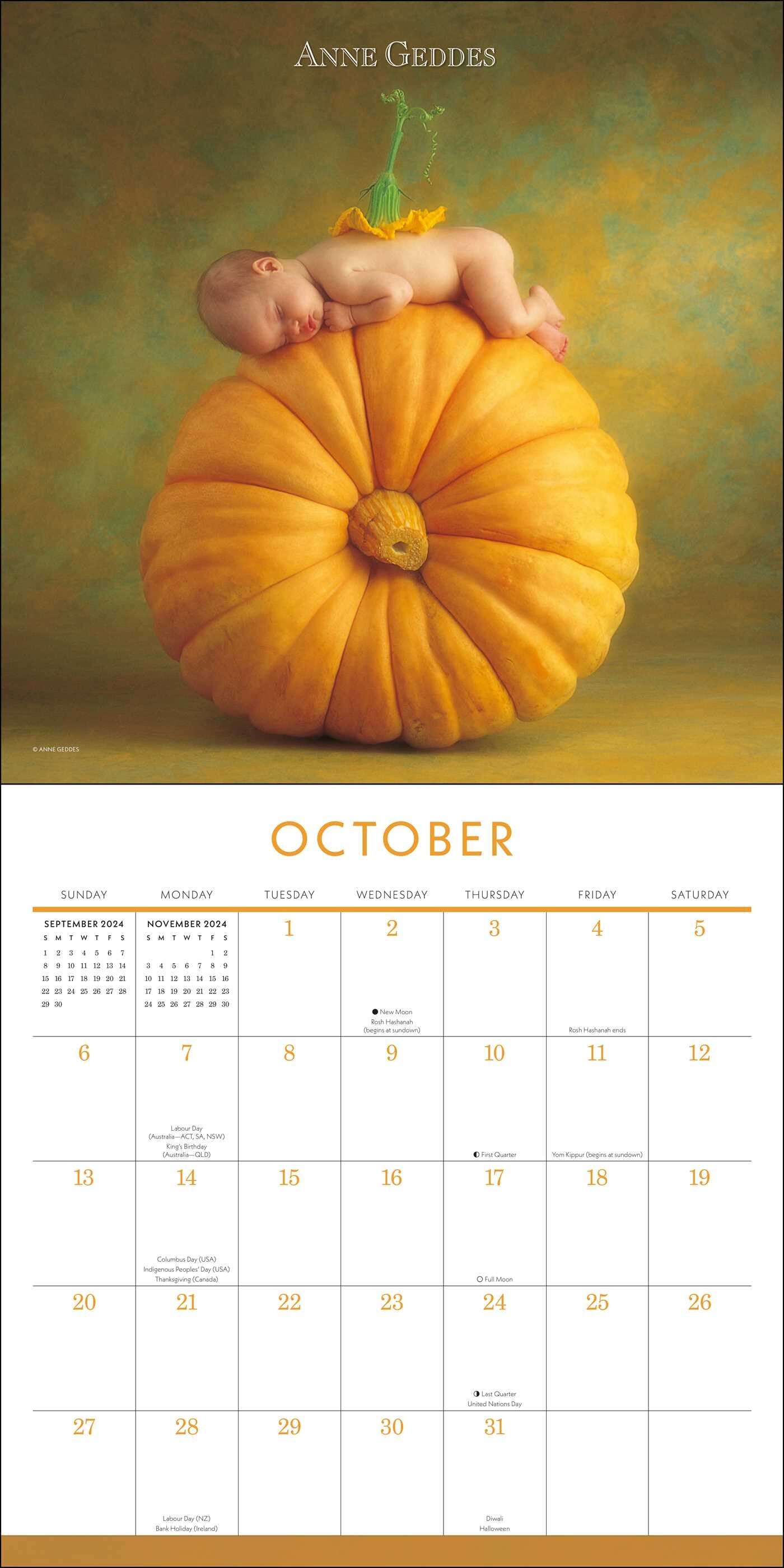 2024 Anne Geddes Square Wall Calendar