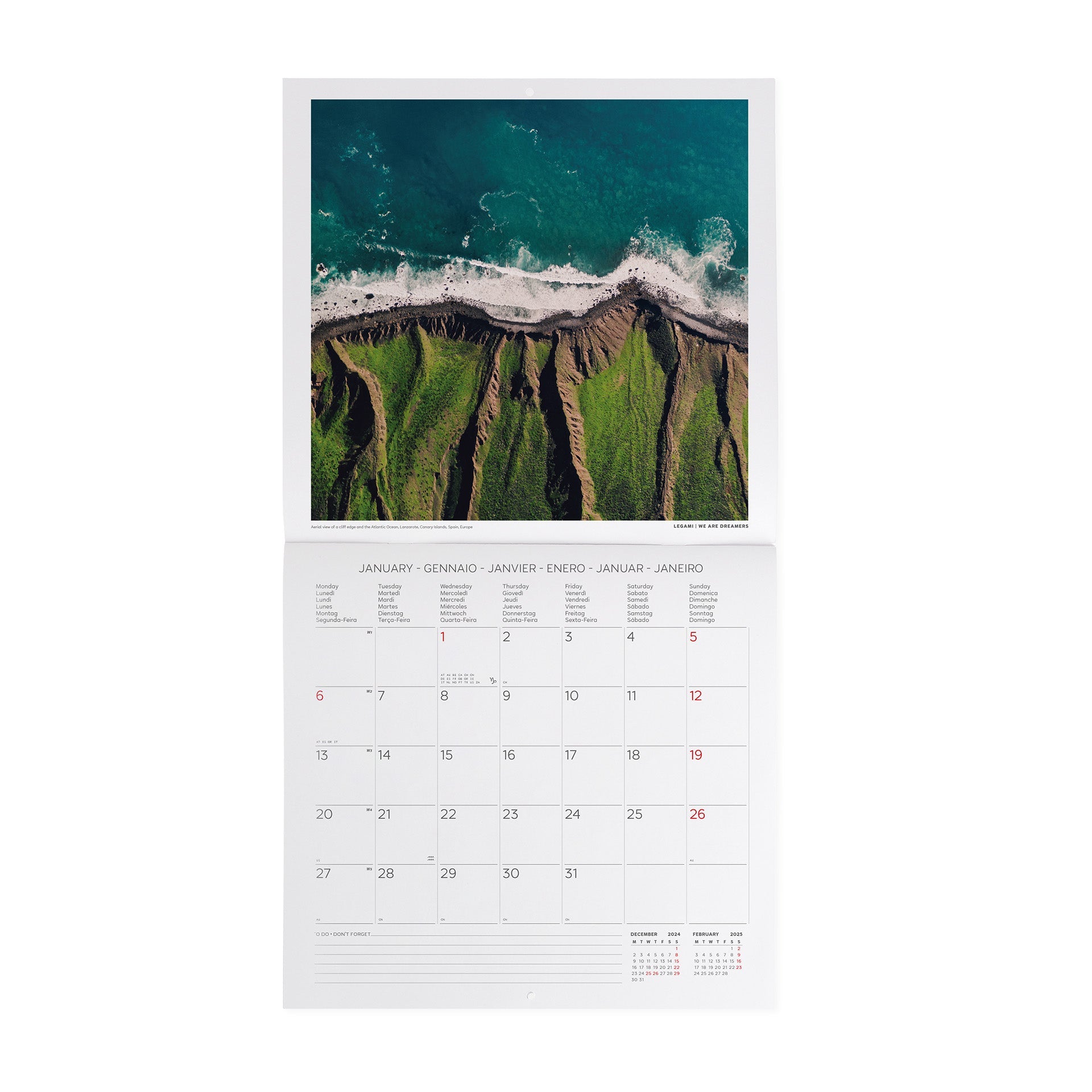 2025 Vitamin Sea - Square Wall Calendar