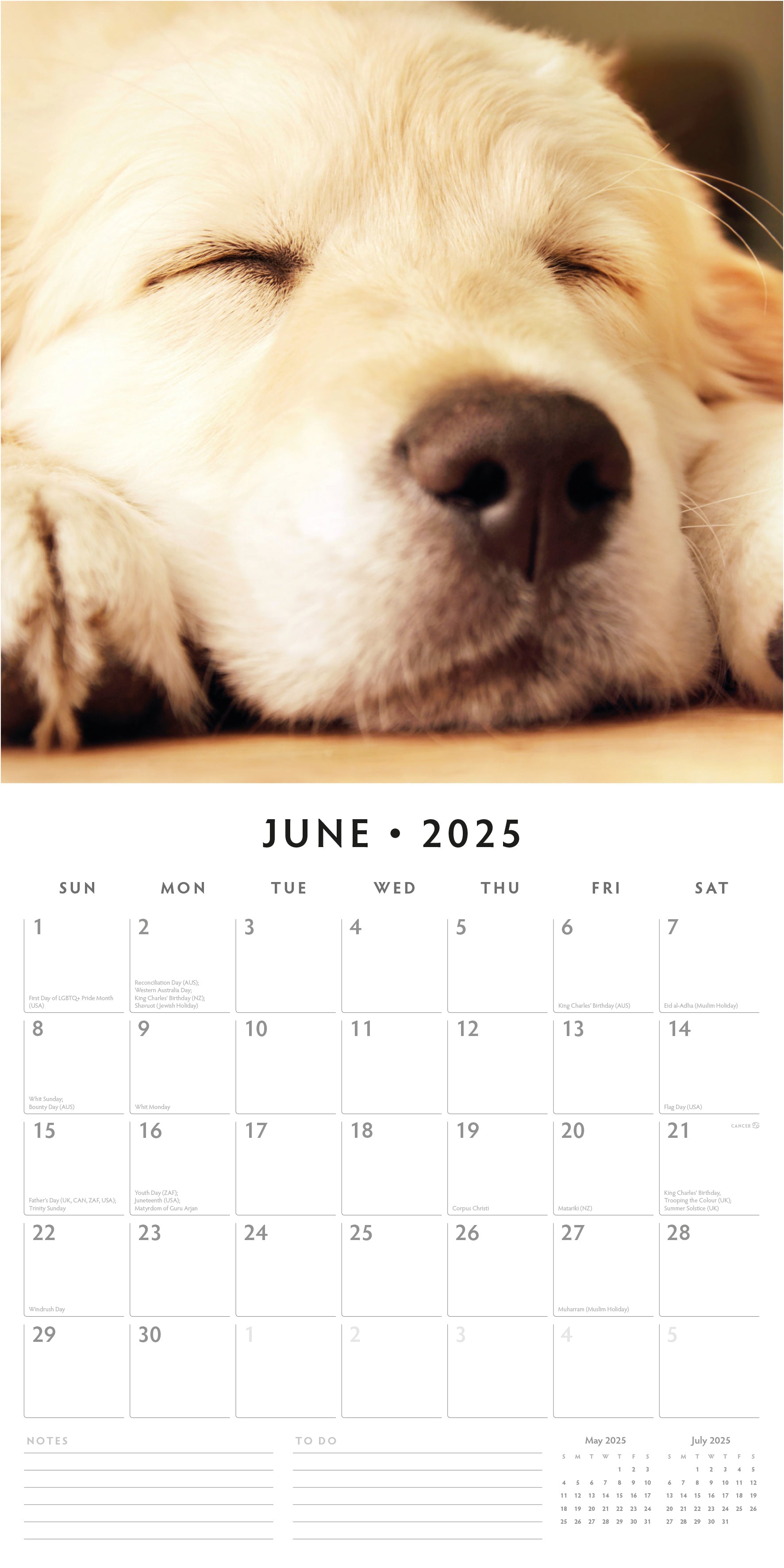 2025 Golden Retriever Puppies - Square Wall Calendar